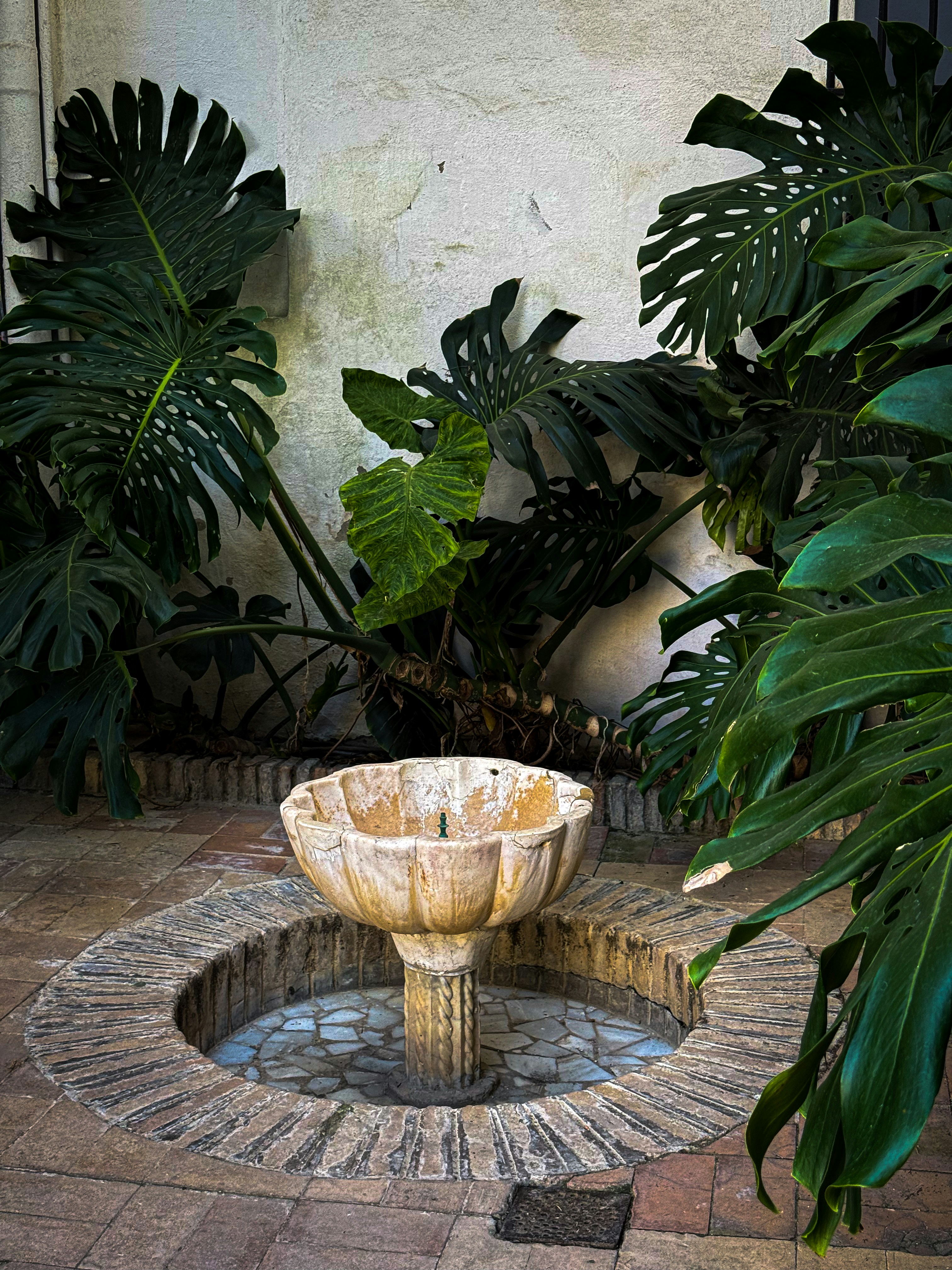 Photo by feliciafelicia