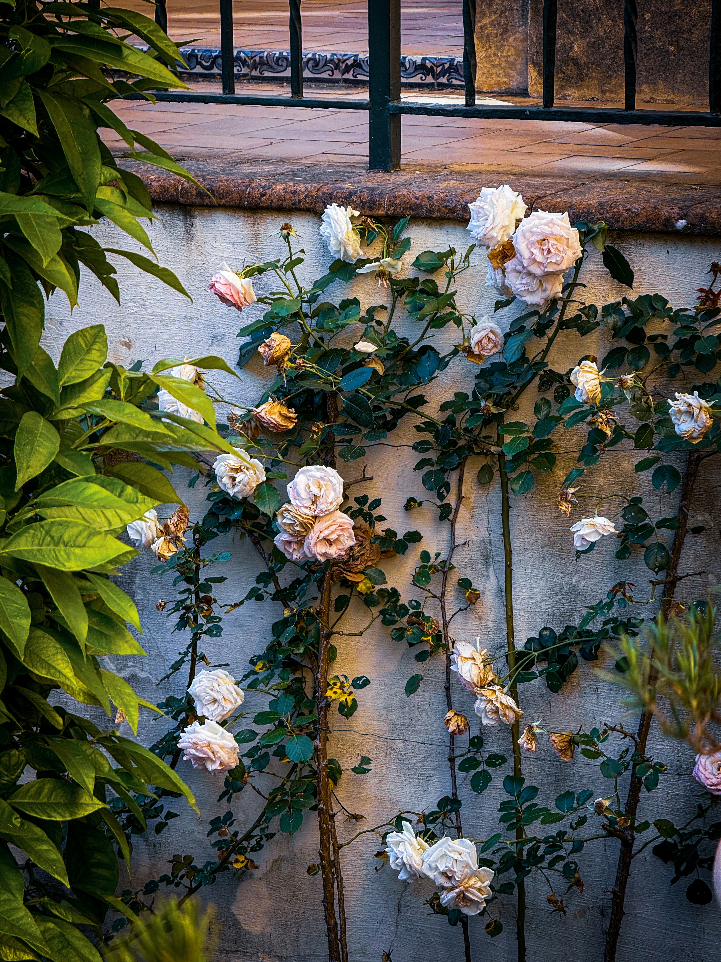 Photo by feliciafelicia