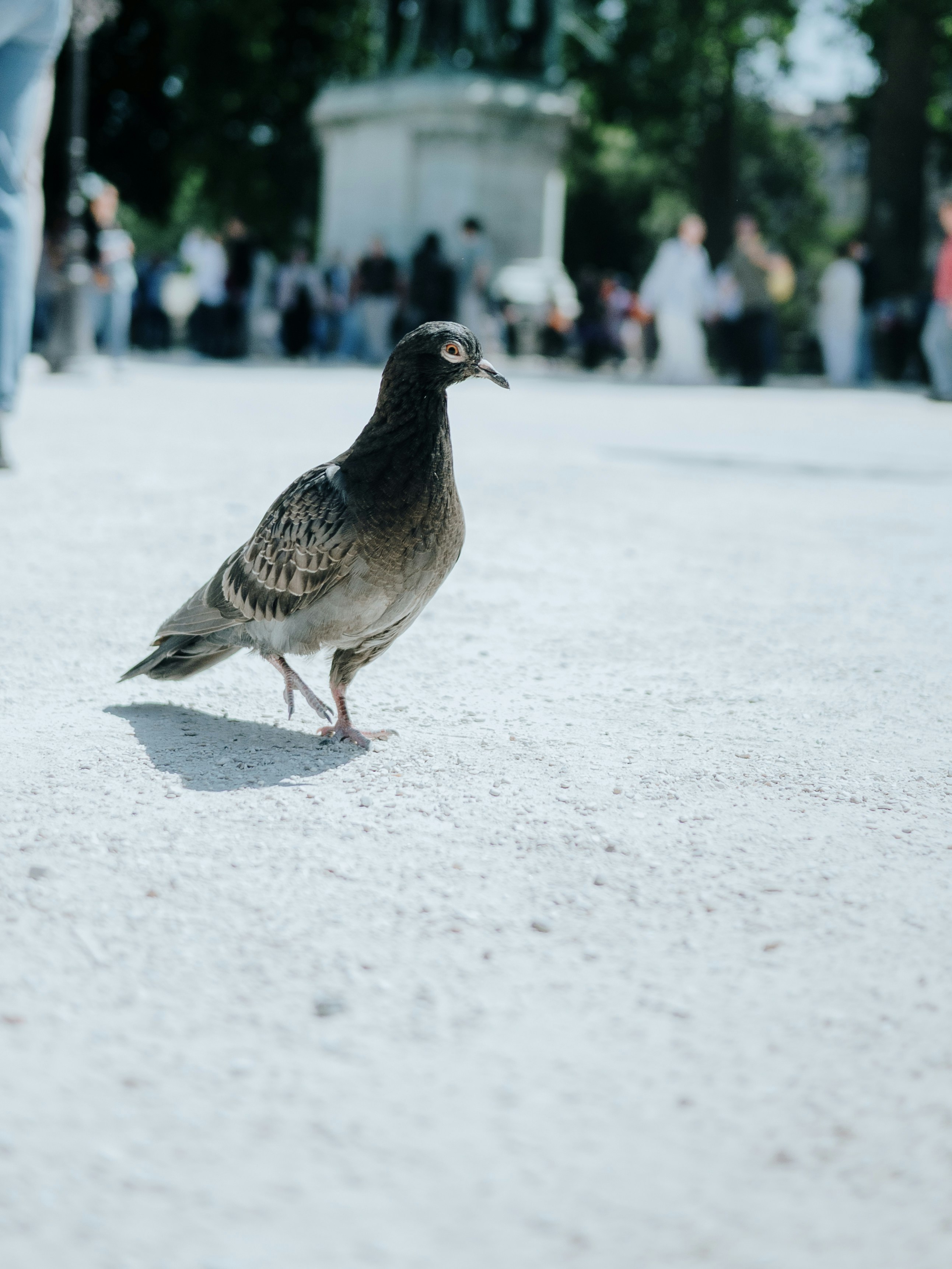 Photo by candegrapher