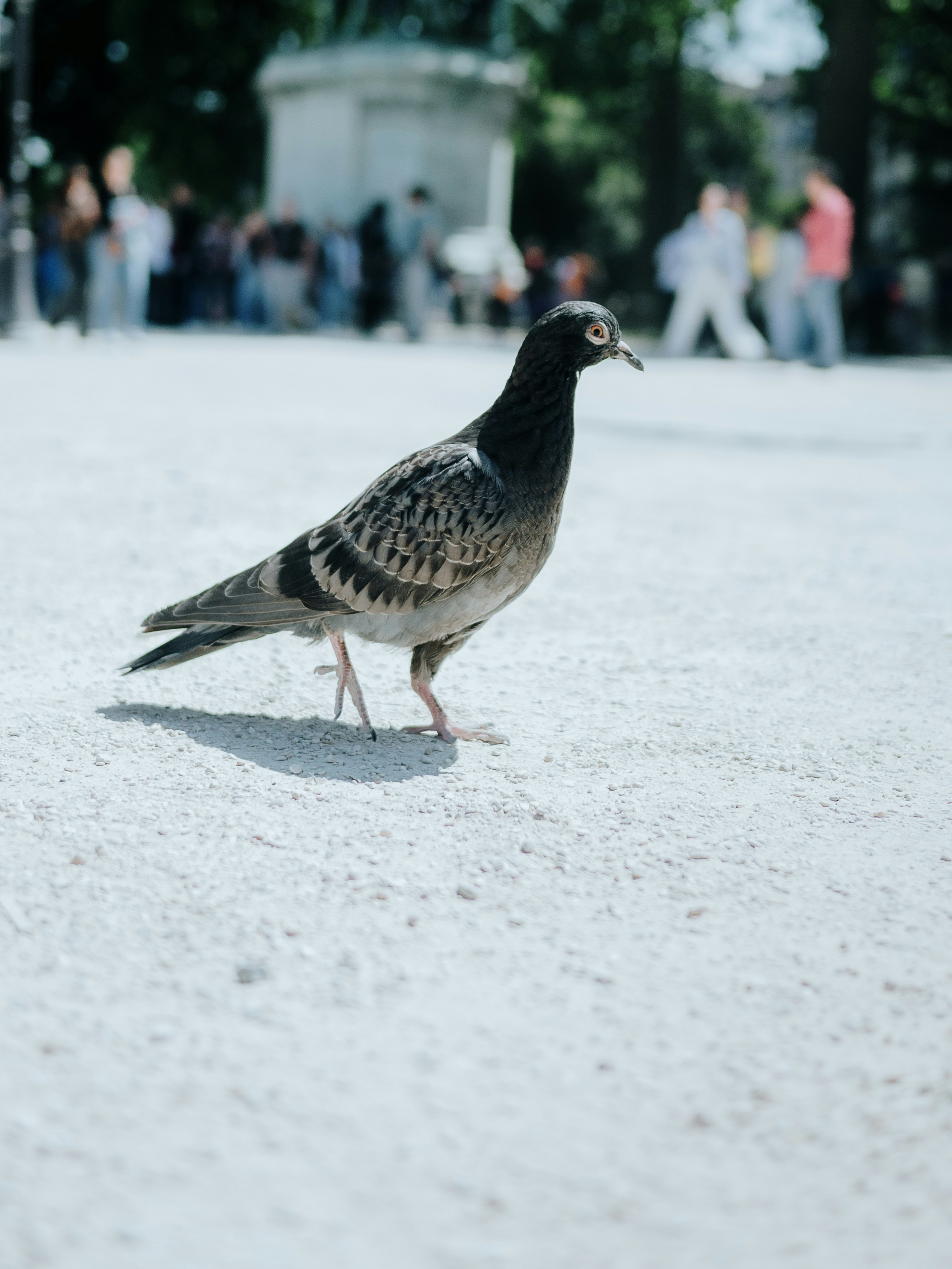 Photo by candegrapher