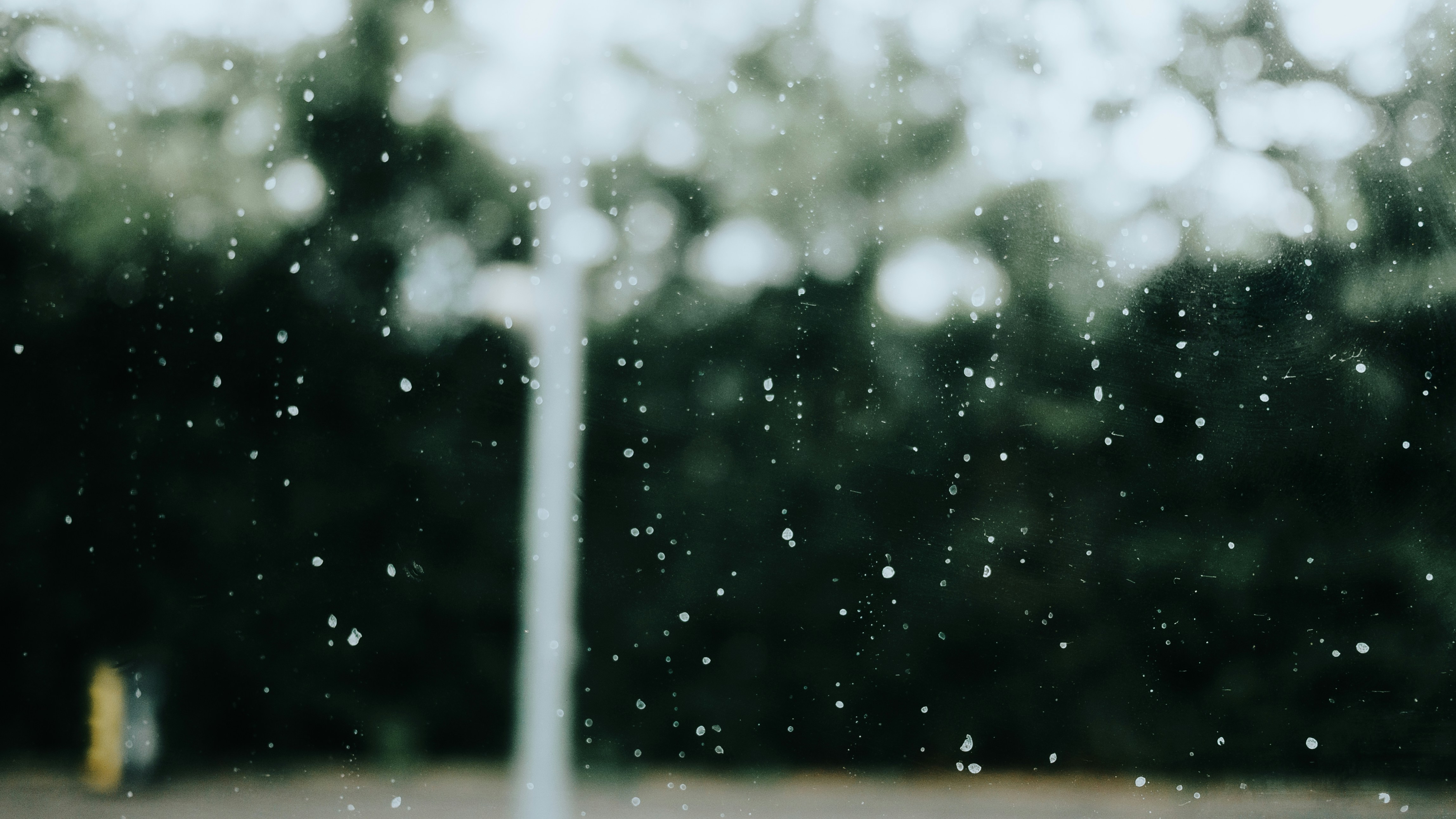 Photo by candegrapher