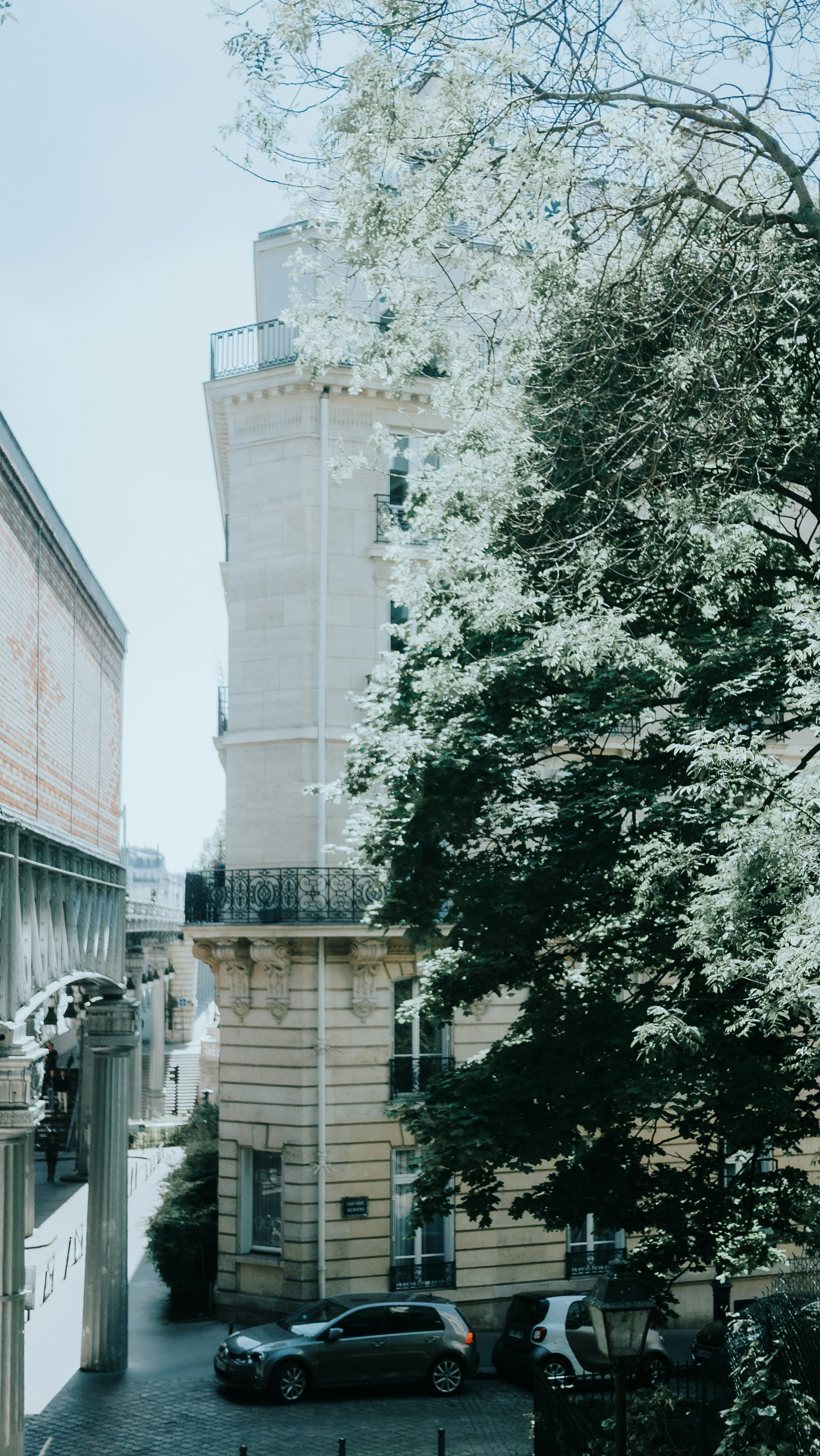 Photo by candegrapher