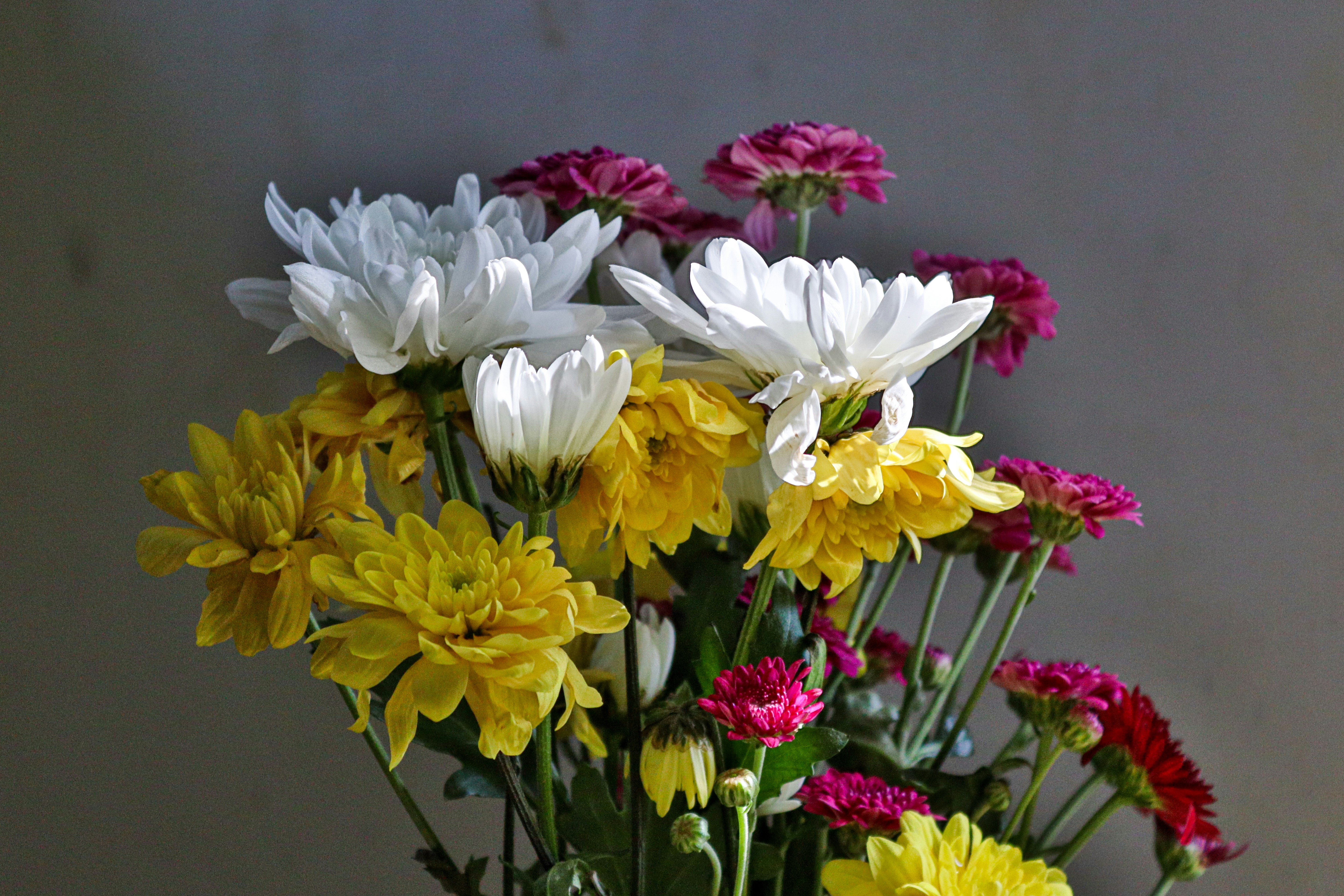 Photo by samithu