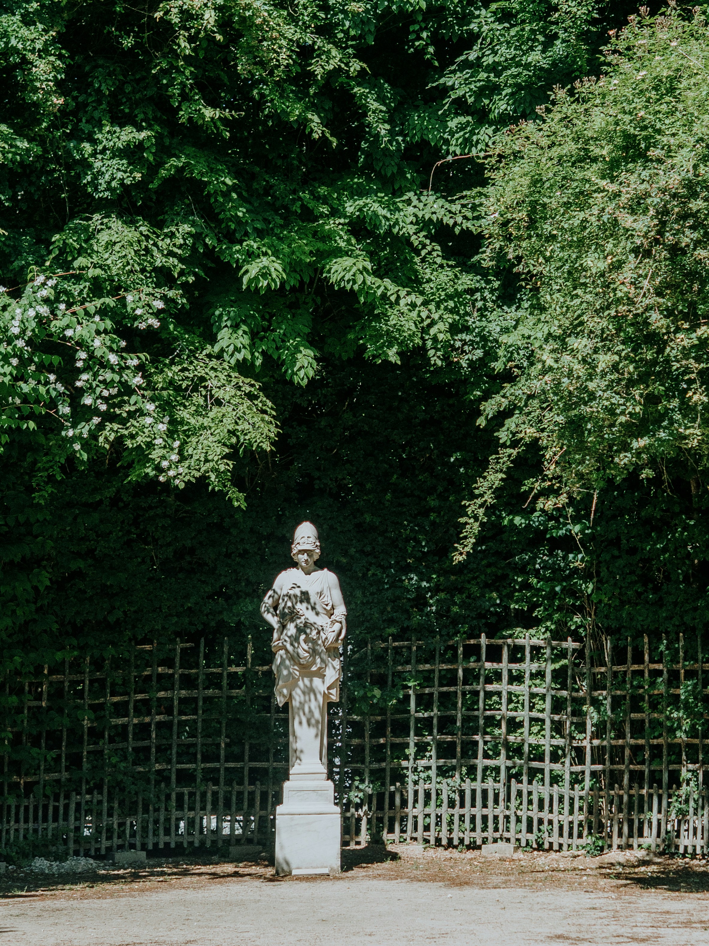 Photo by candegrapher