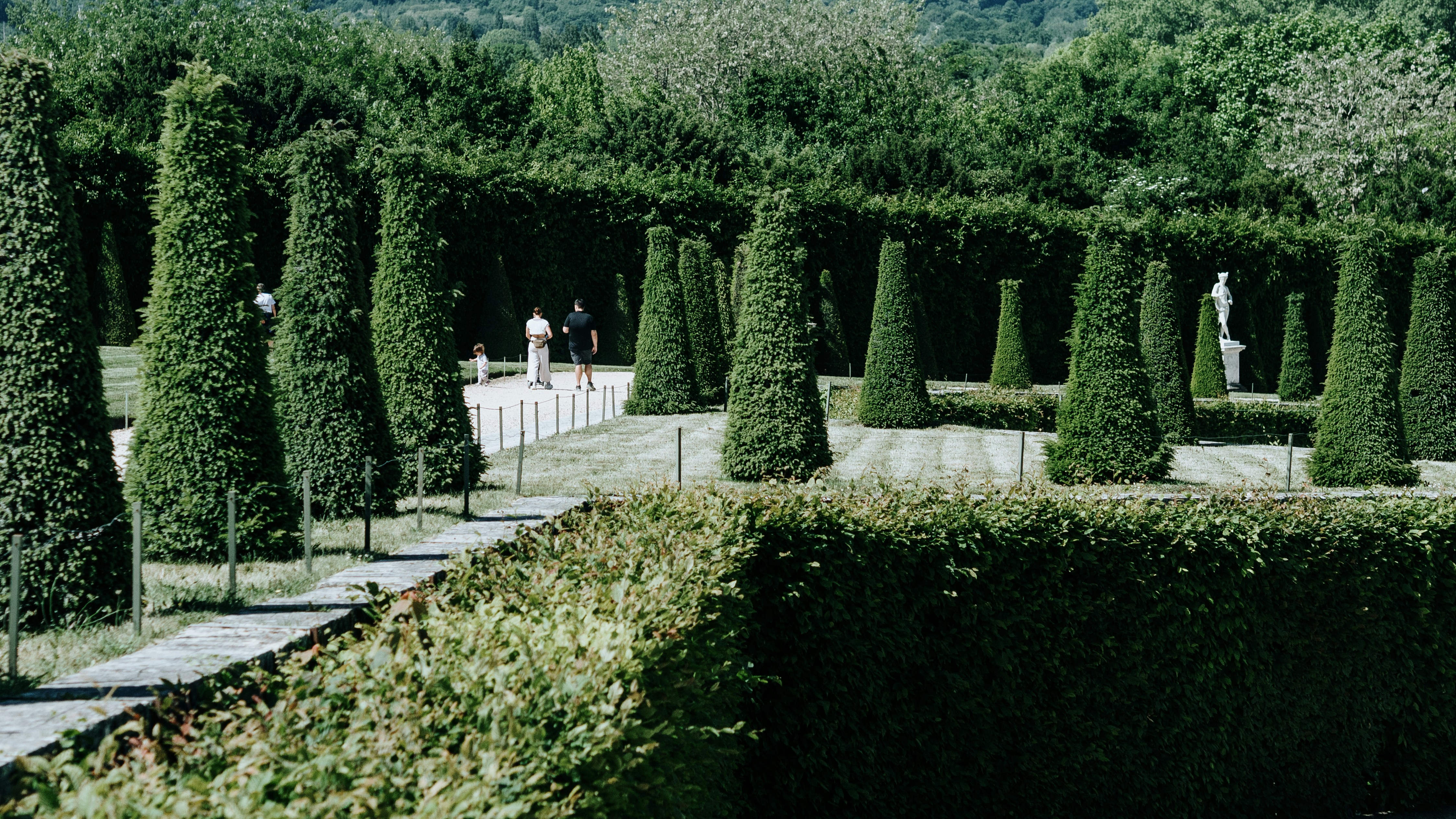 A formal garden with topiary.
