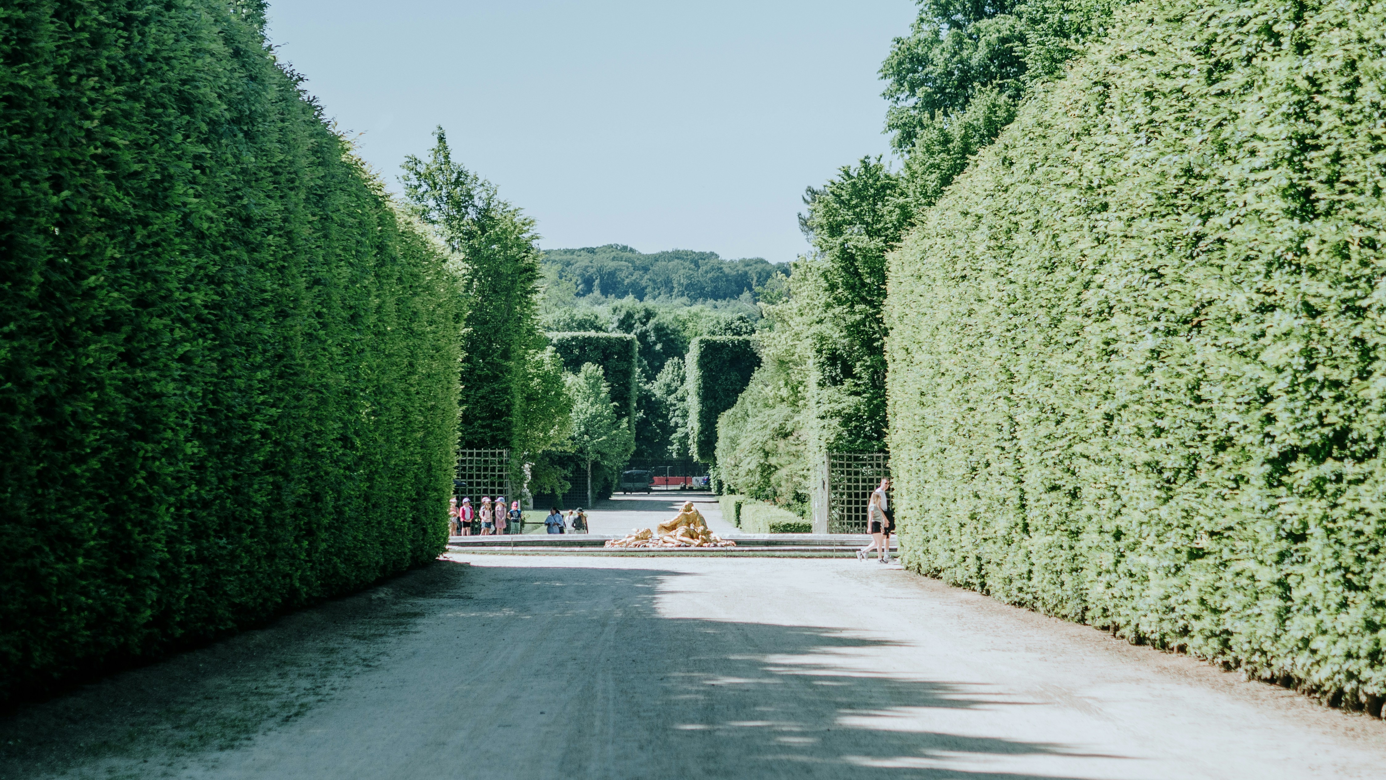 Roadway through a neatly trimmed hedge-lined path.