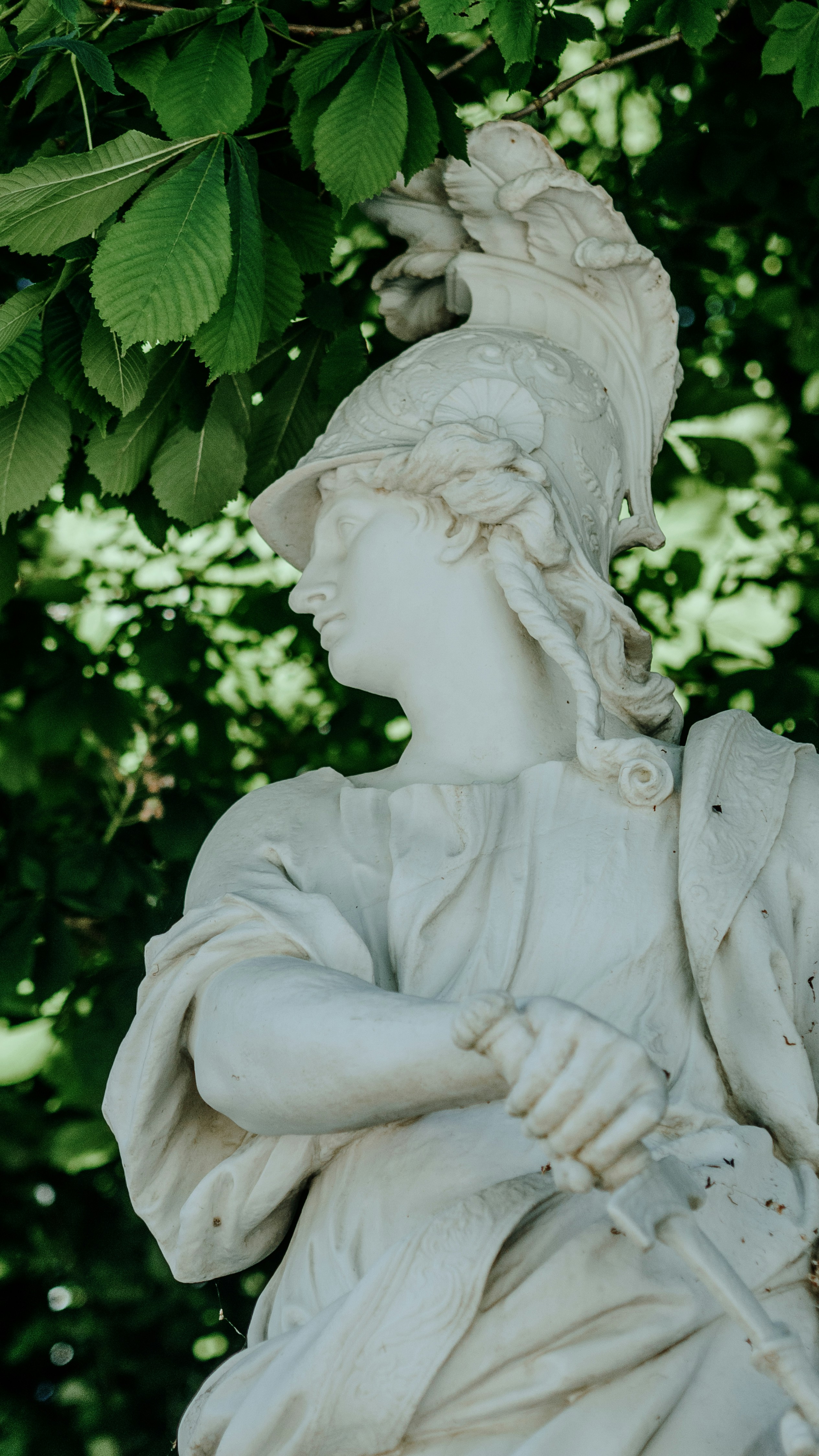 Photo by candegrapher