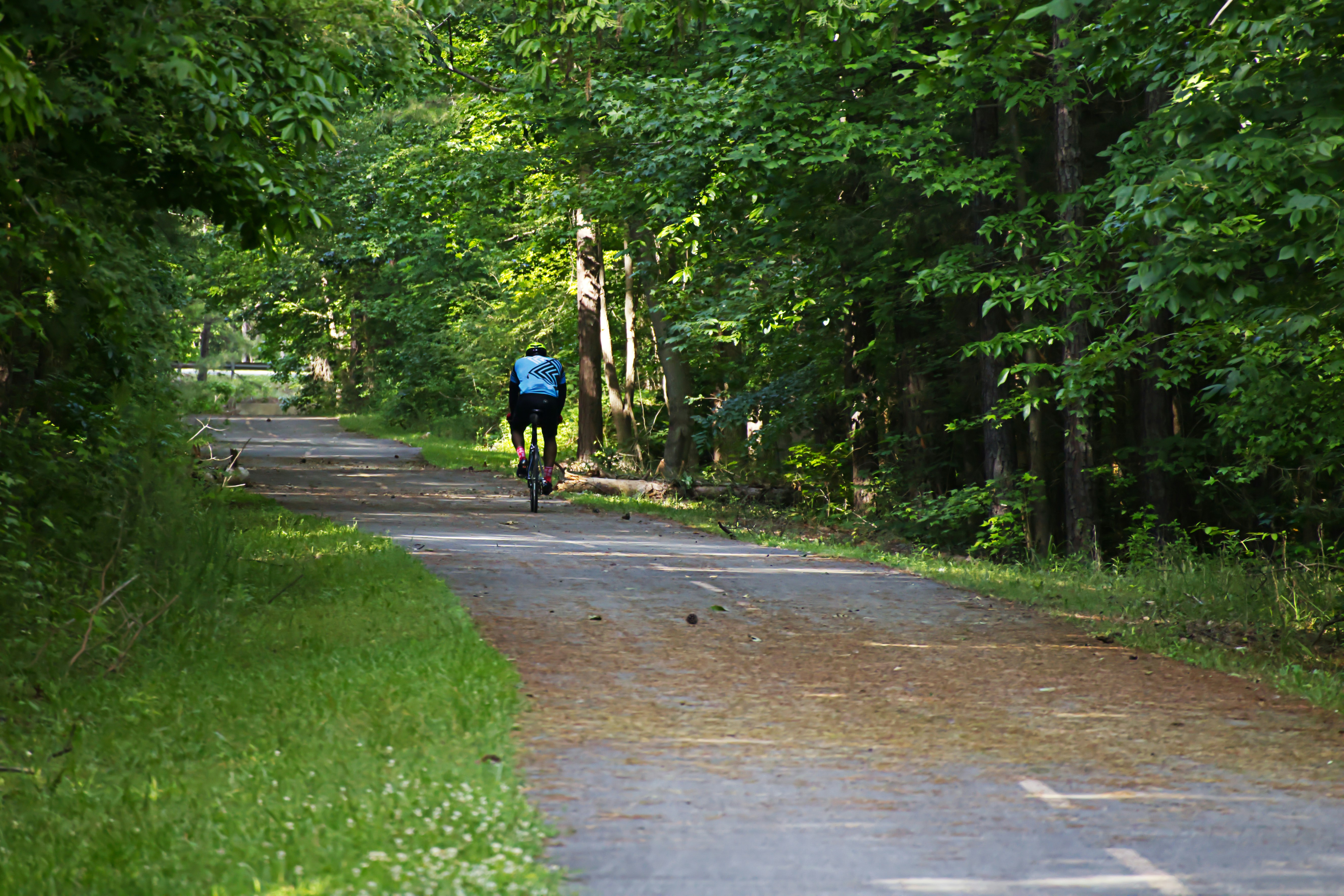 People jogging and biking on The 606 trail - apartments for rent in bucktown chicago il