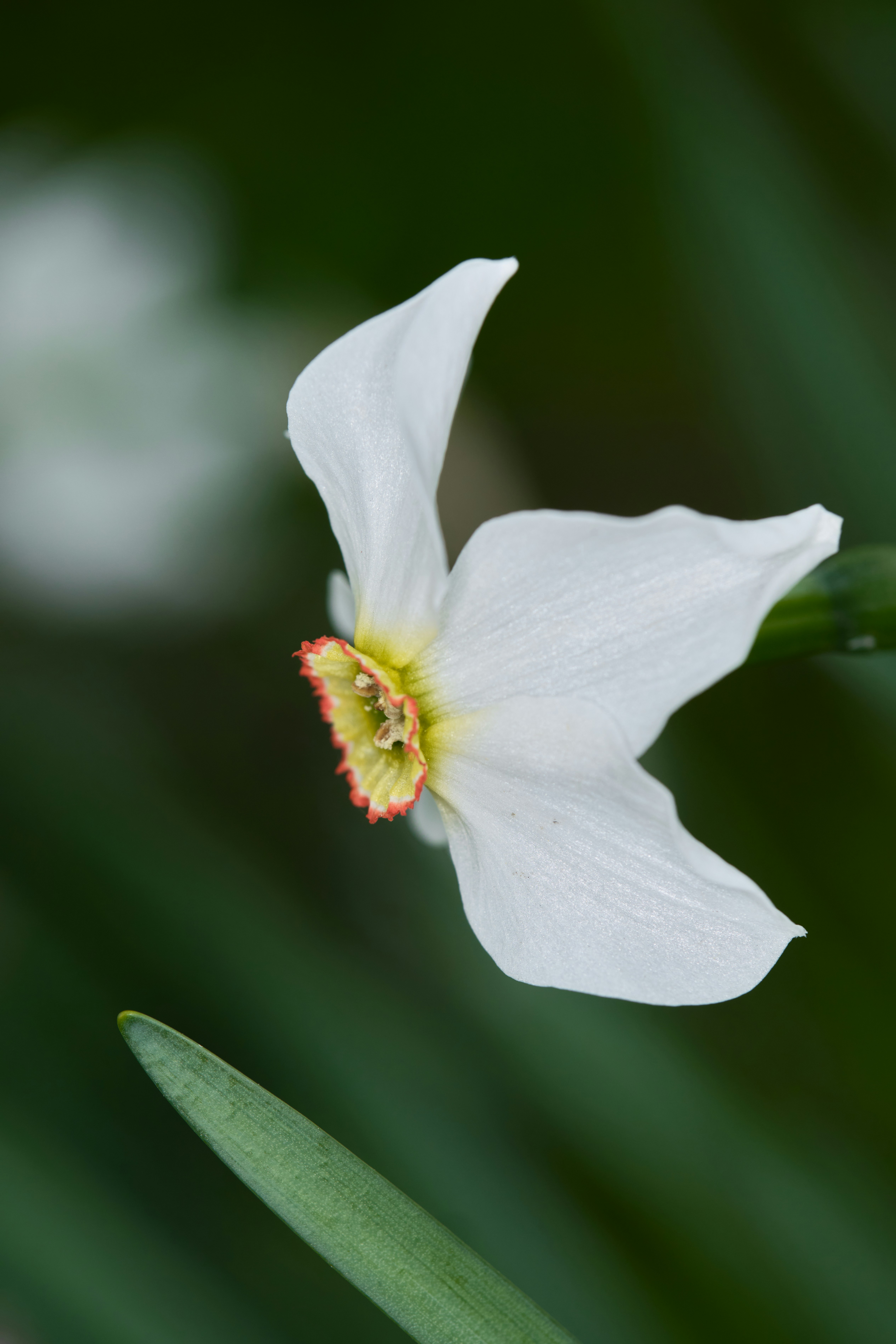 Photo by alexandredaoust