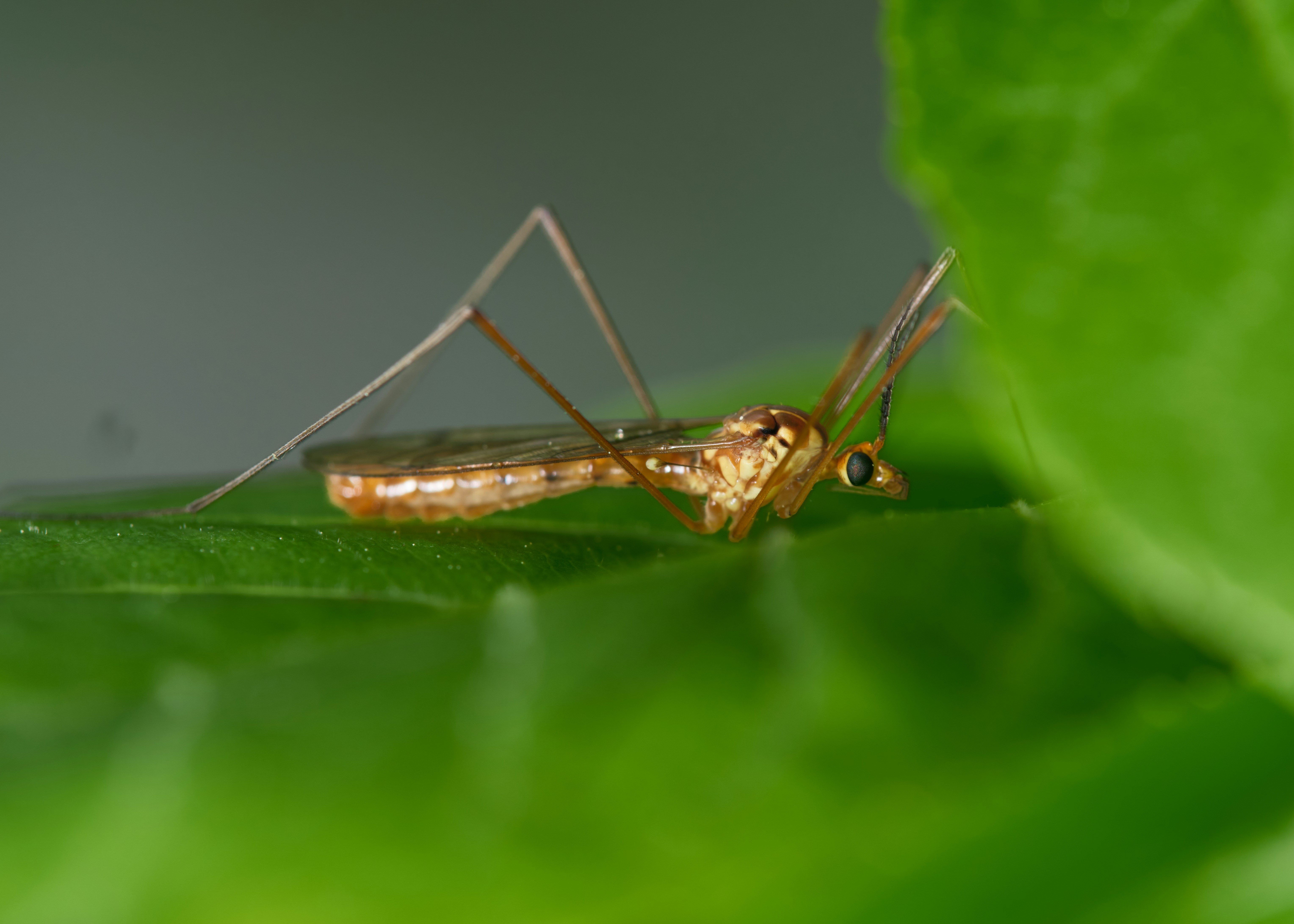 Photo by alexandredaoust