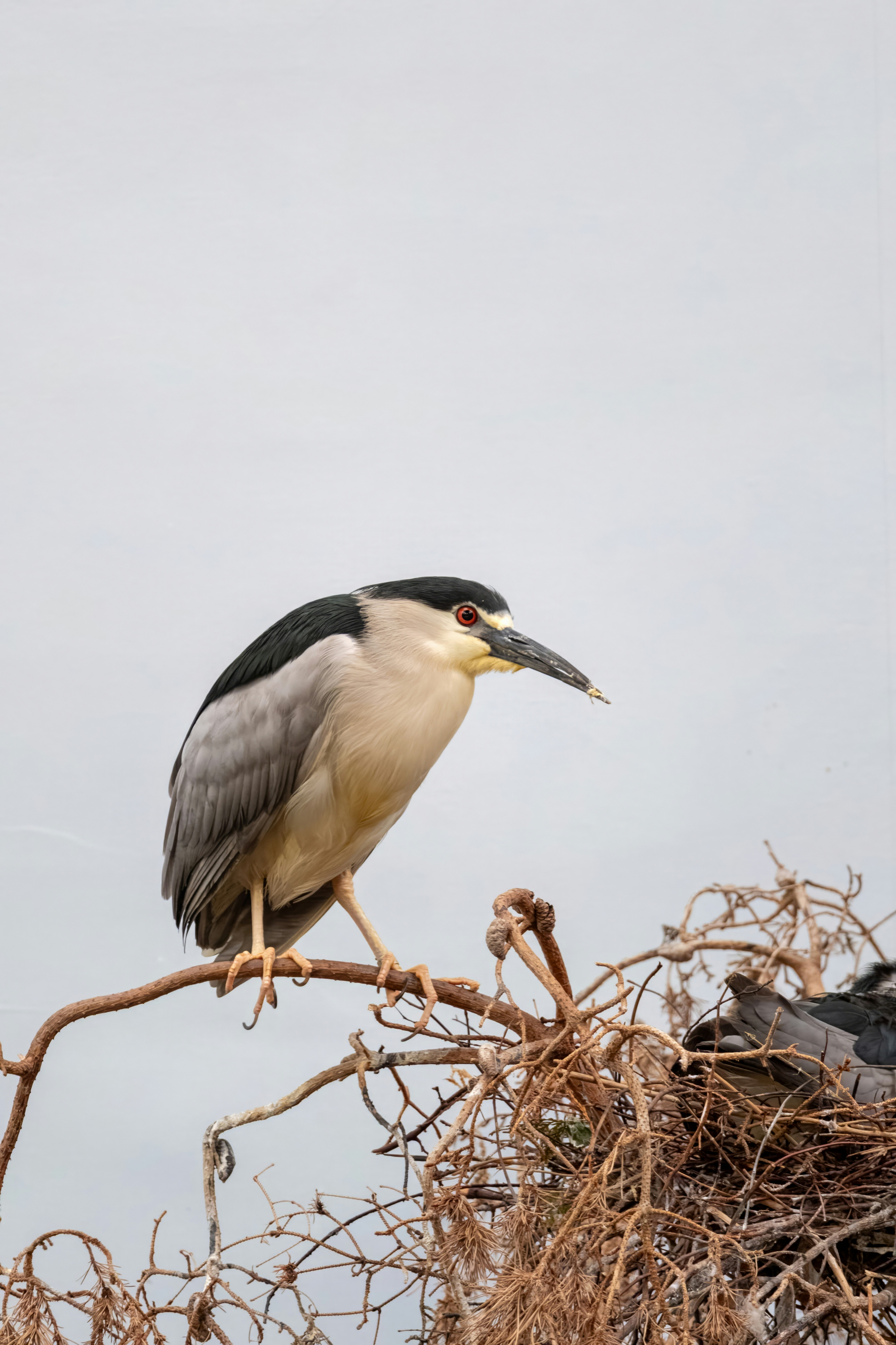 Photo by alexandredaoust