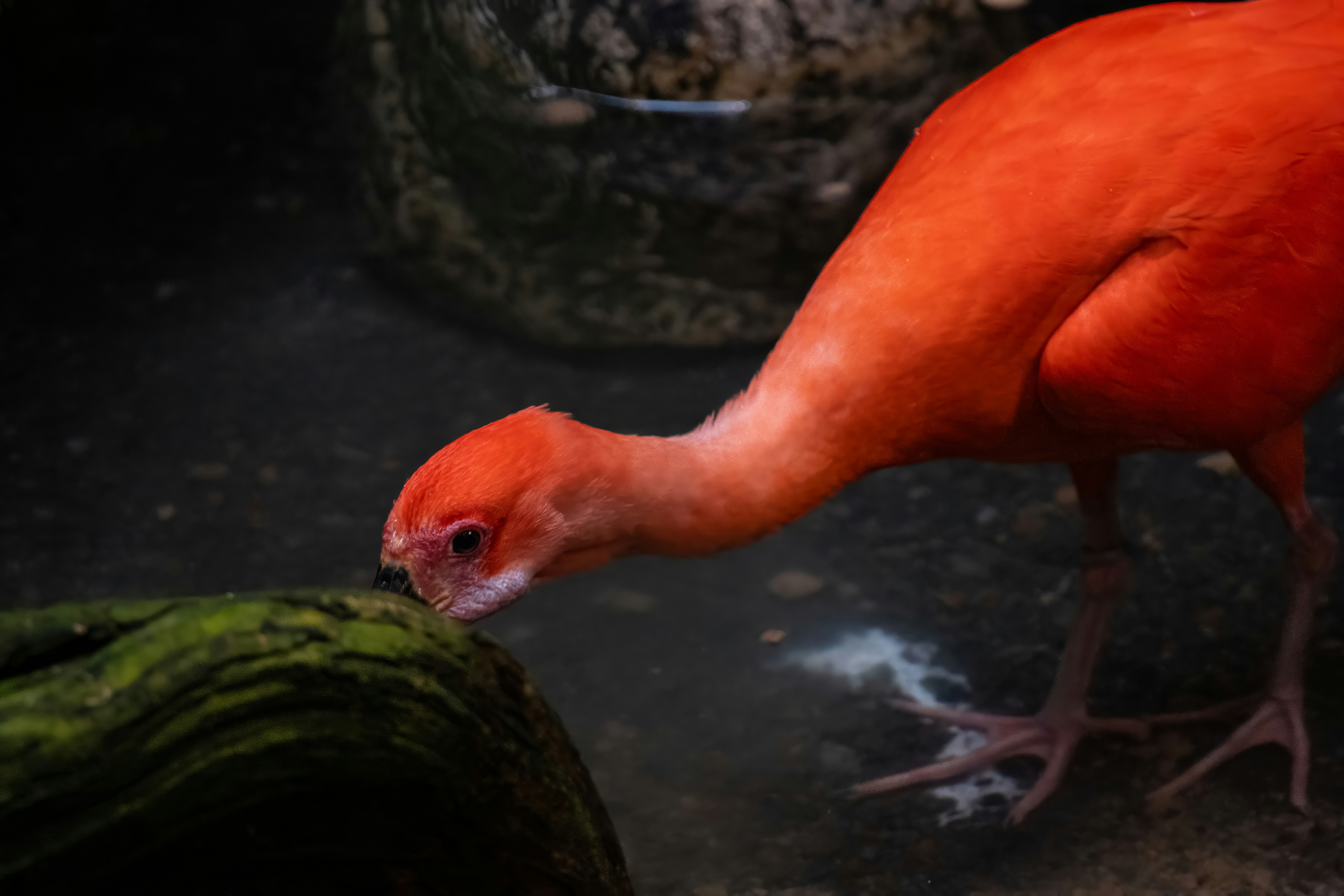 Photo by alexandredaoust