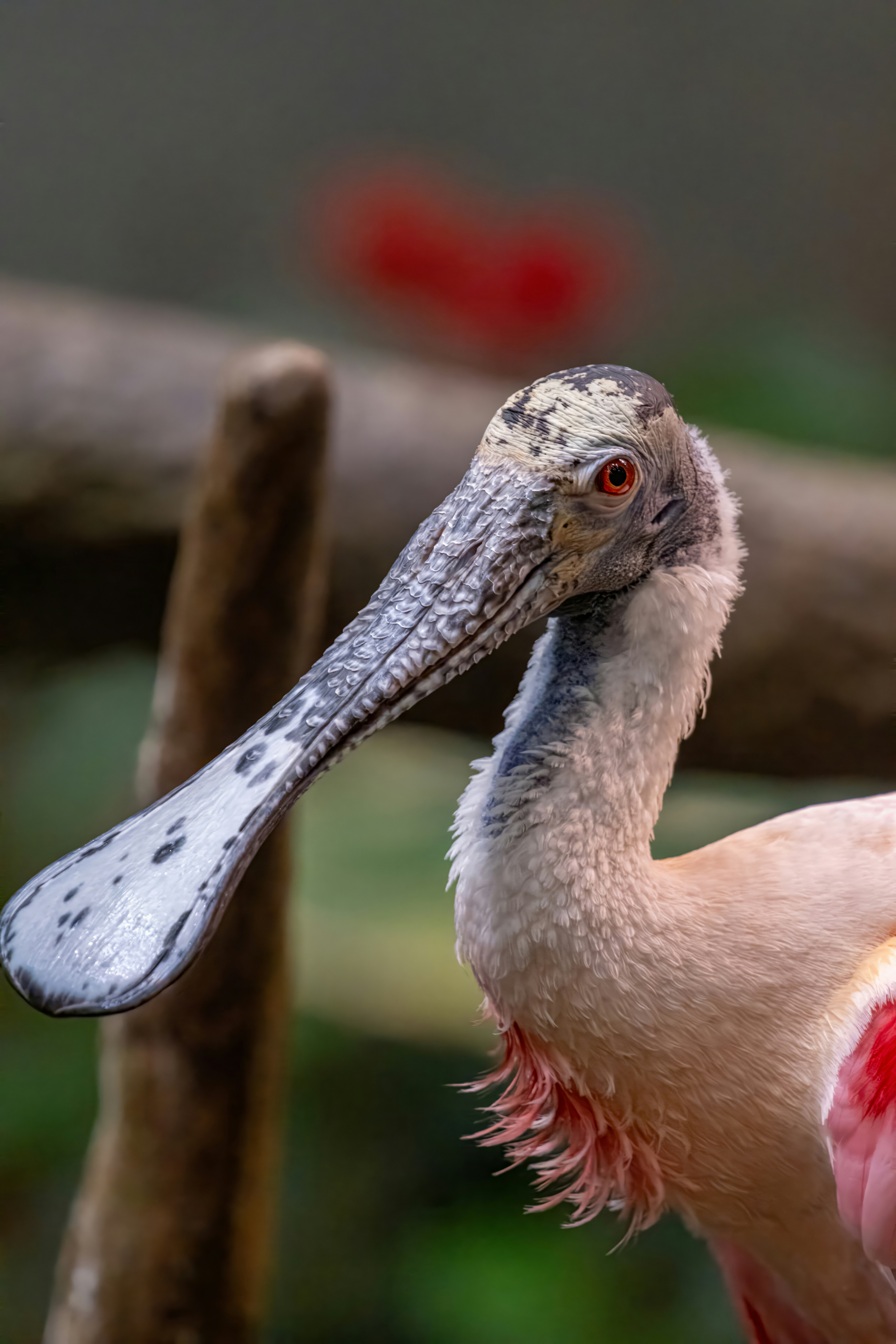 Photo by alexandredaoust