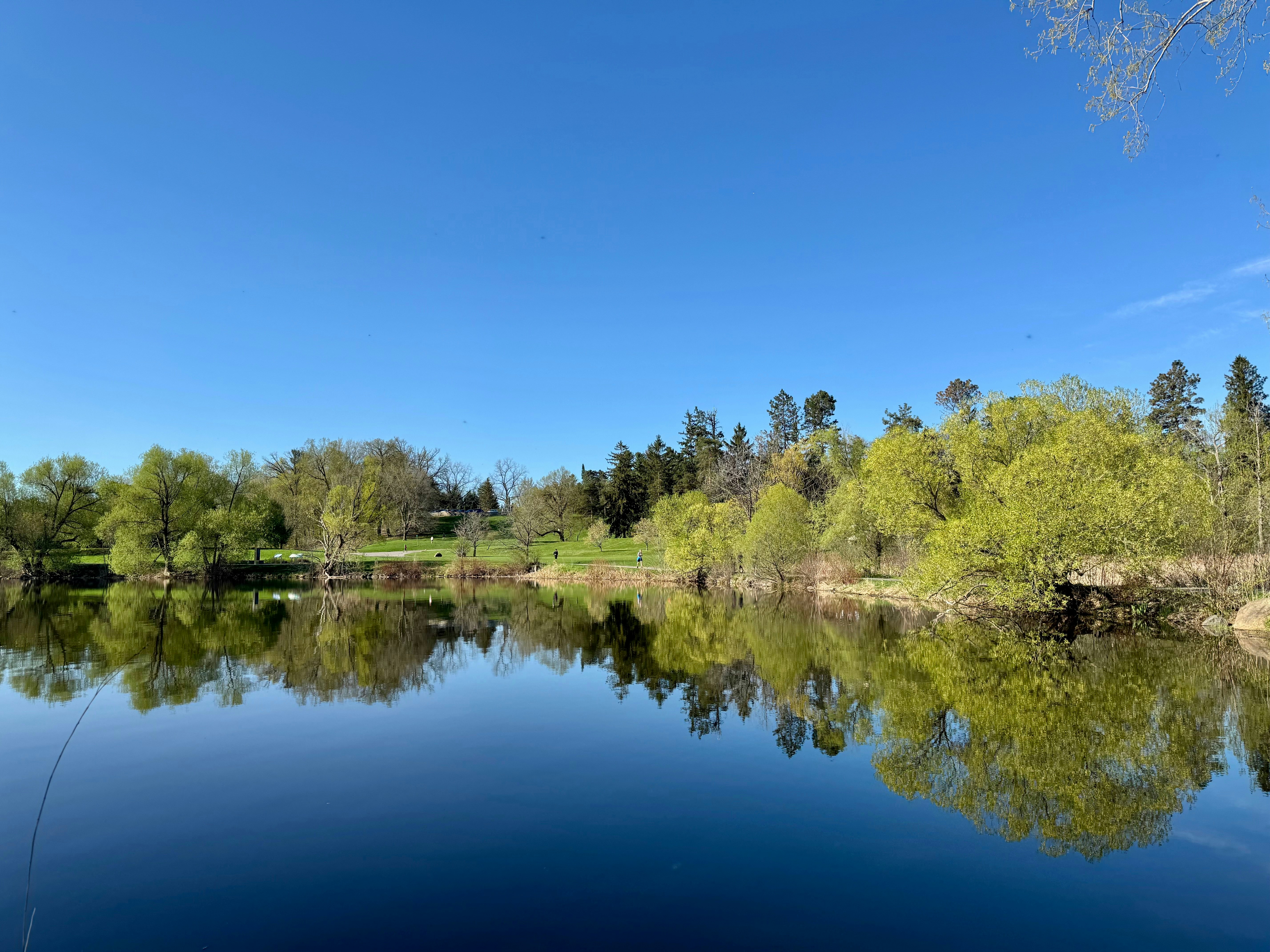 A lake reflects trees under a clear blue sky.