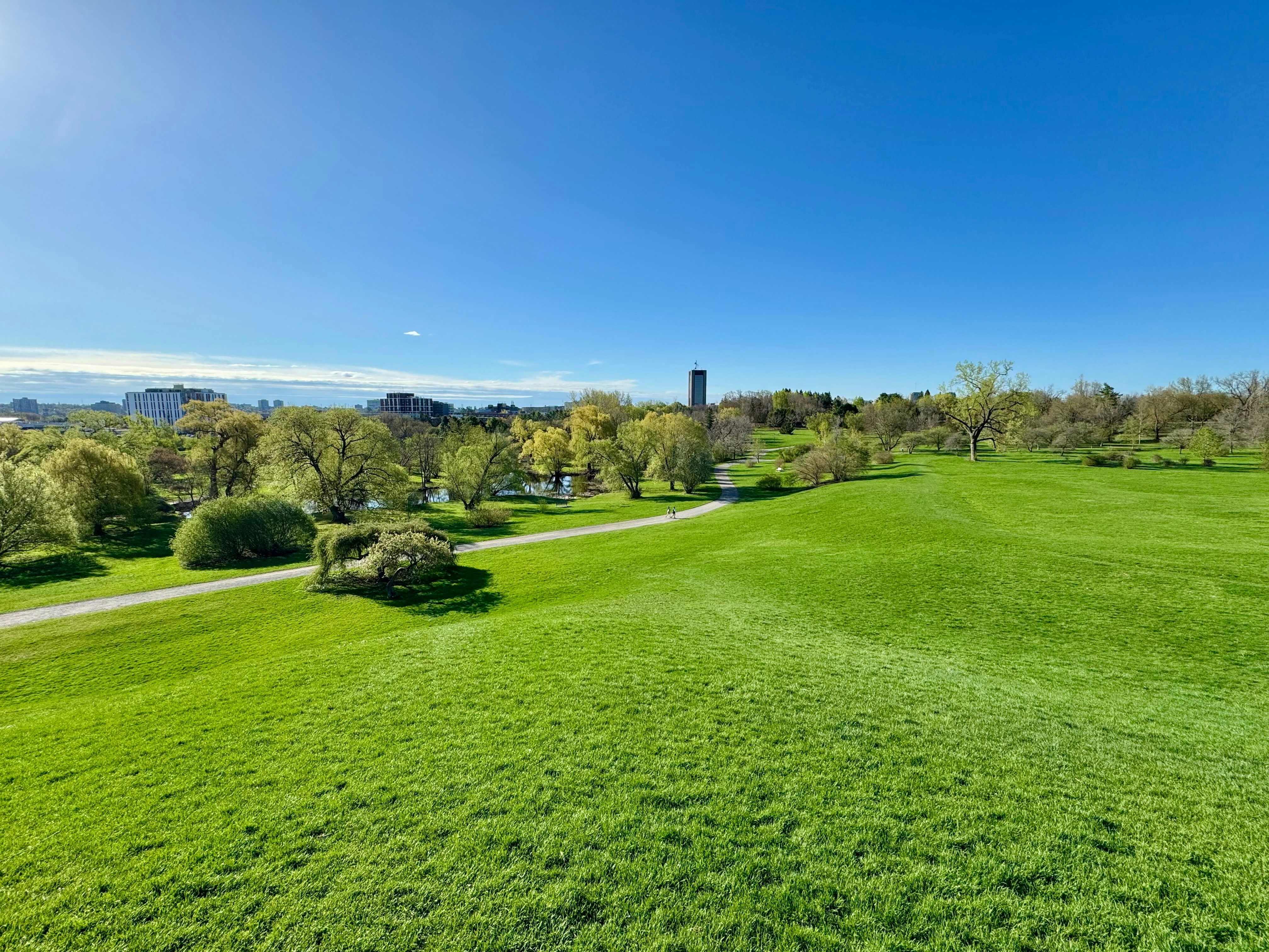 Green grass and trees under a clear, blue sky.