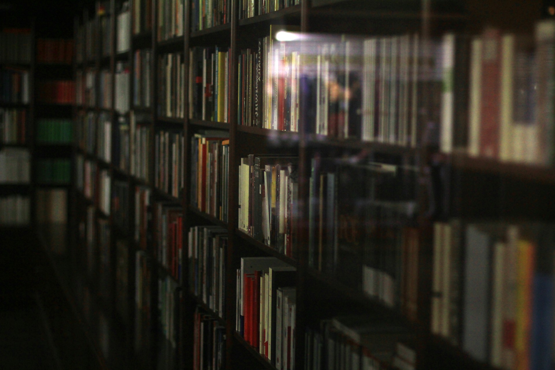Books neatly line the shelves of a library.