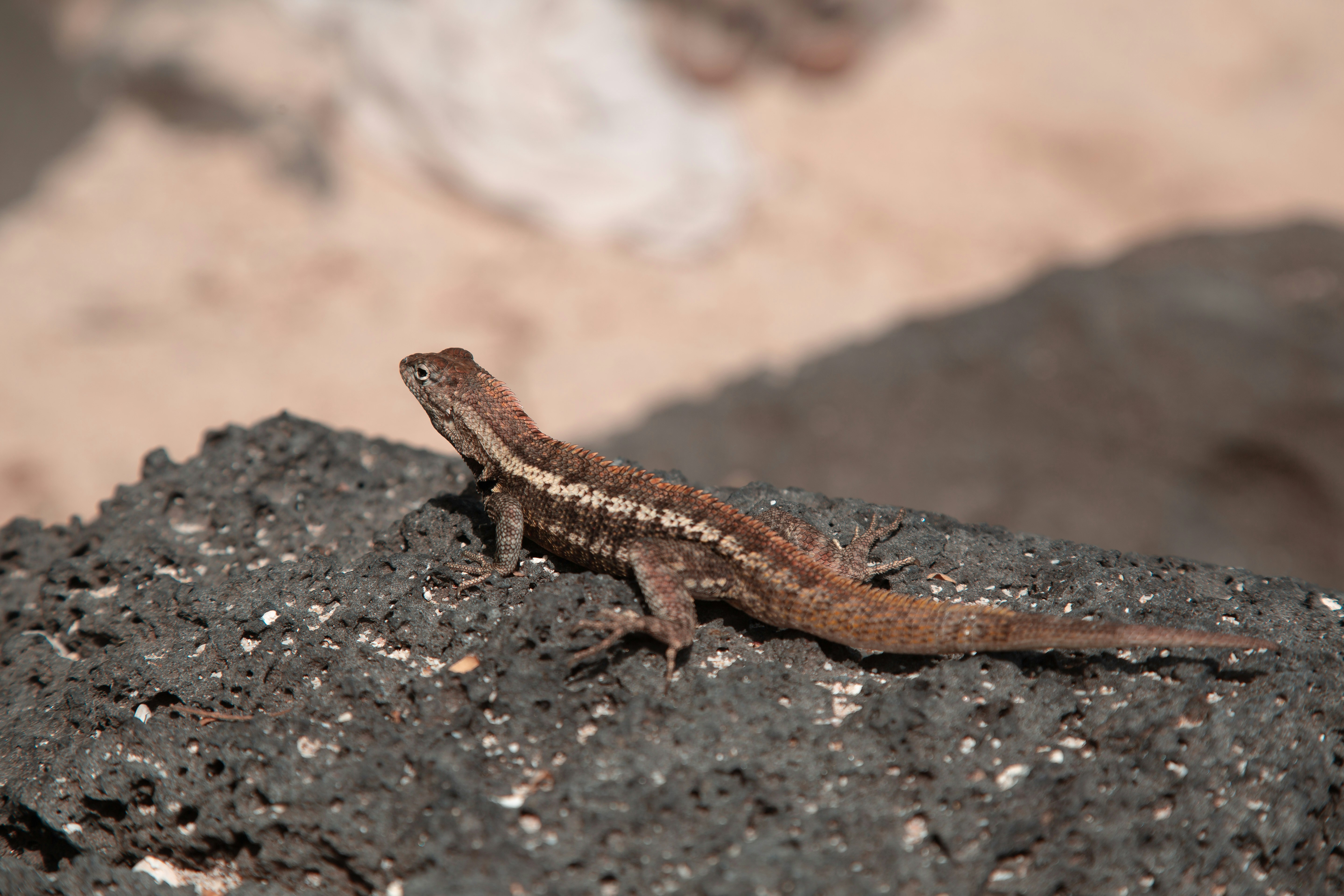 Photo by sofiatheexplorer