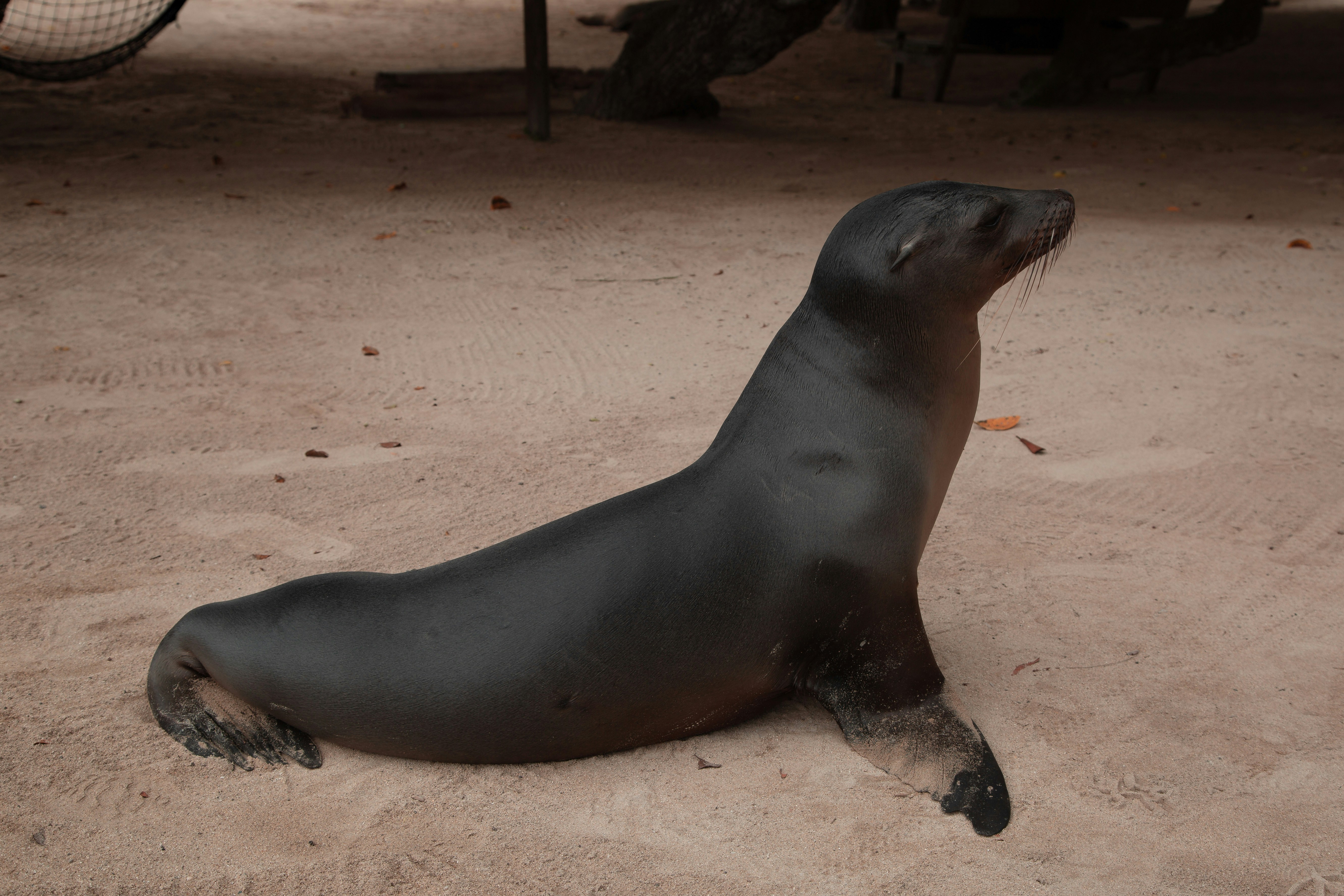 Photo by sofiatheexplorer