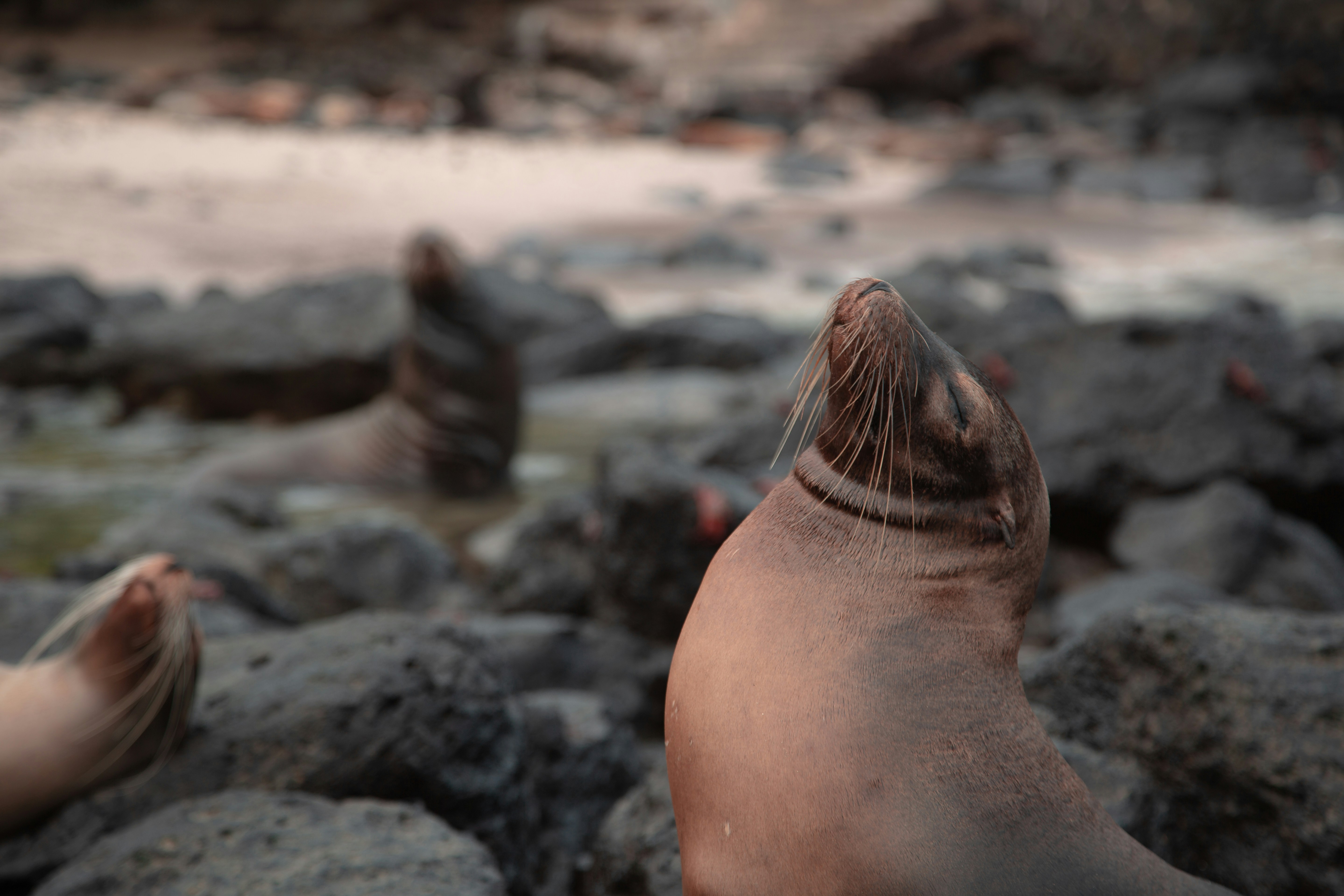 Photo by sofiatheexplorer