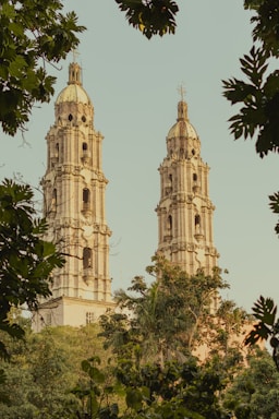 Two ornate church towers peek through the trees.