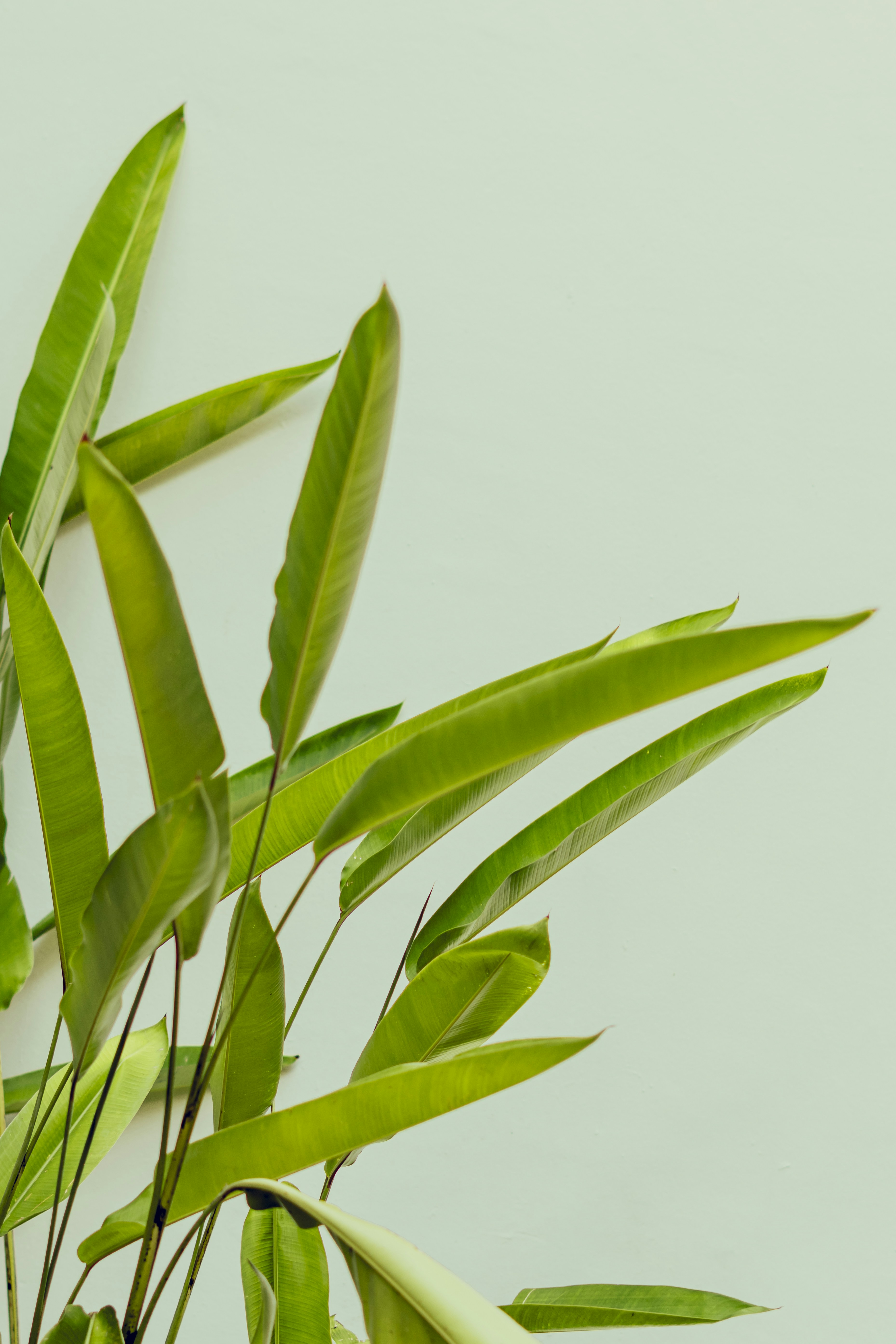 Photo by adrielcanche