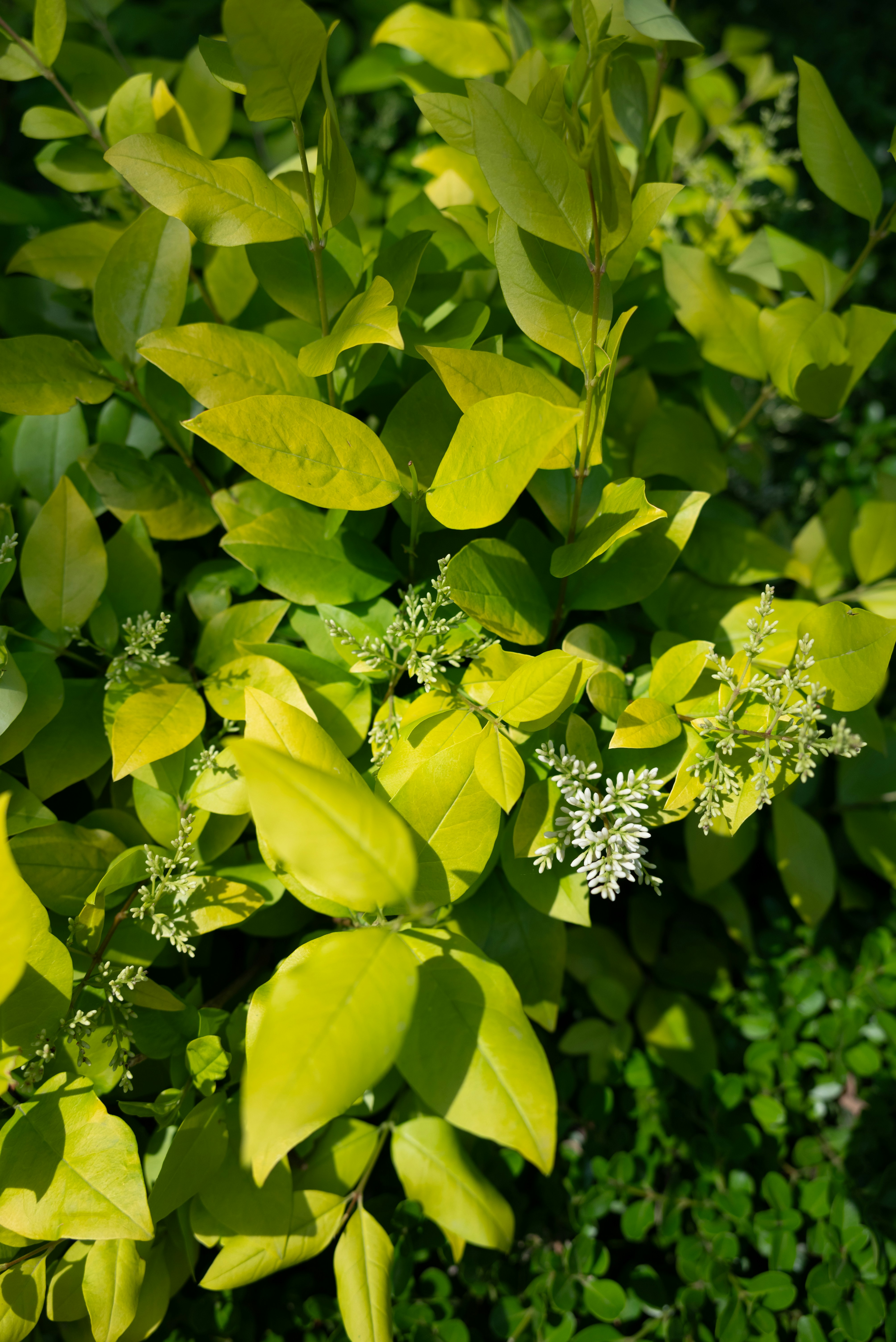 Photo by nikol_royce