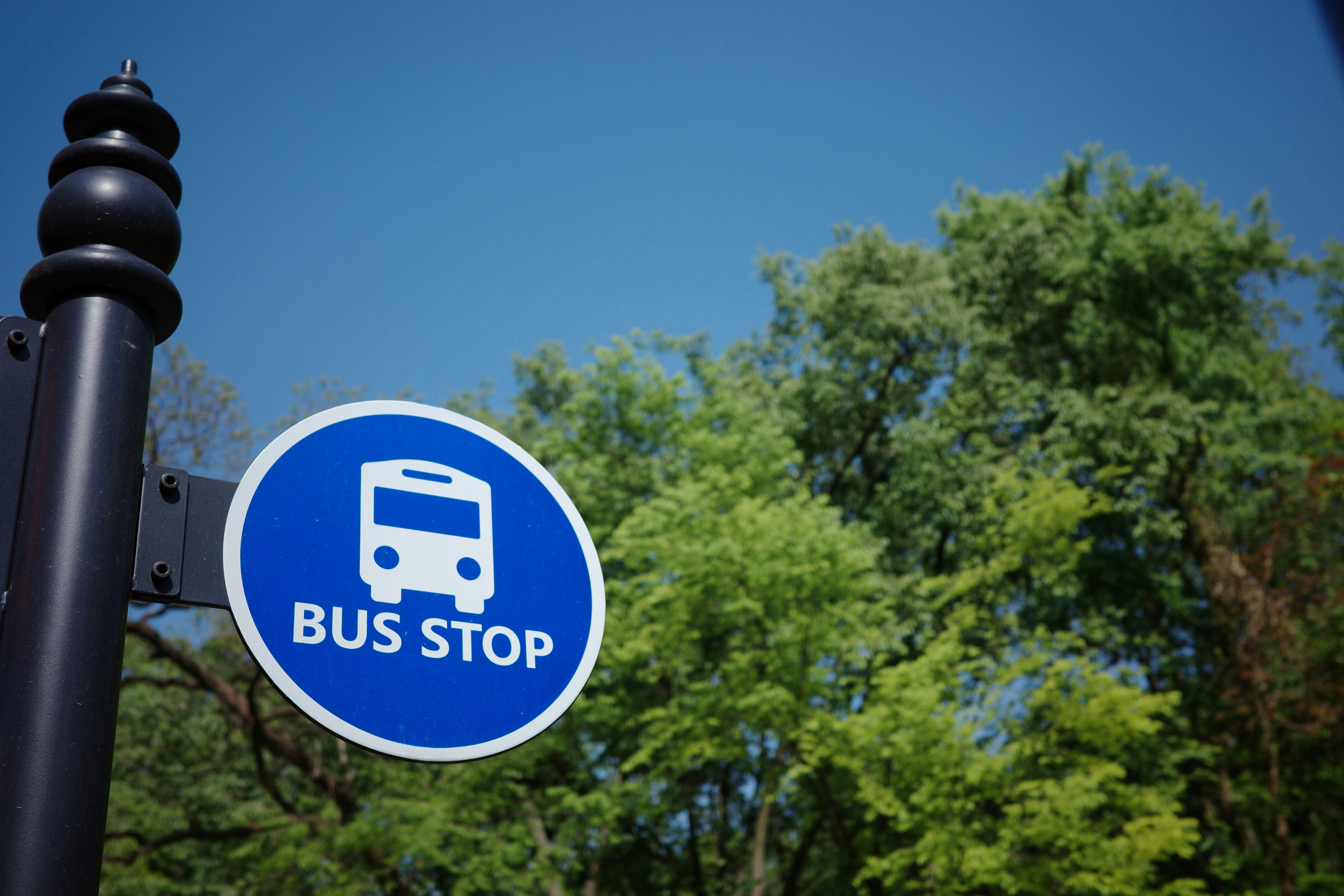 Bus stop sign near green trees.