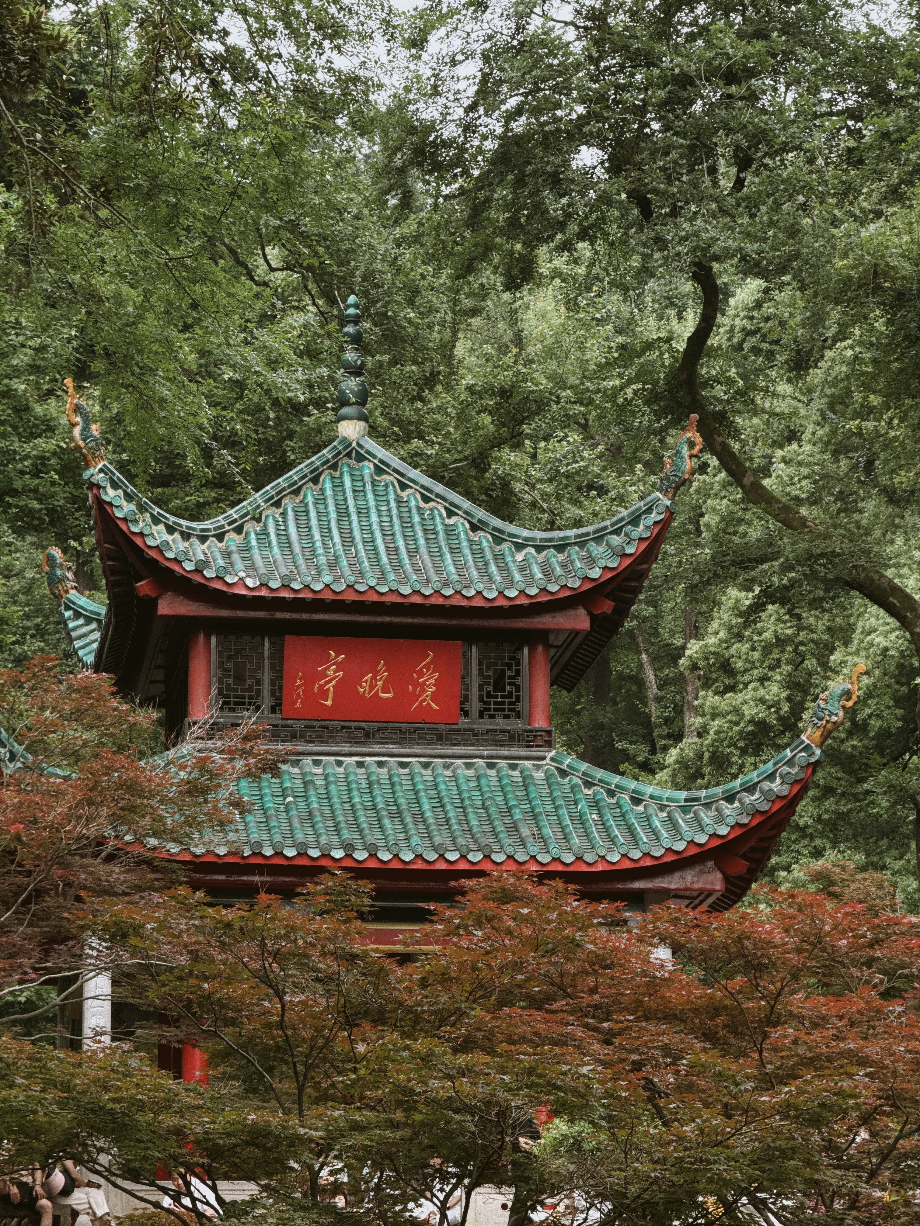 Photo by kkleung2022