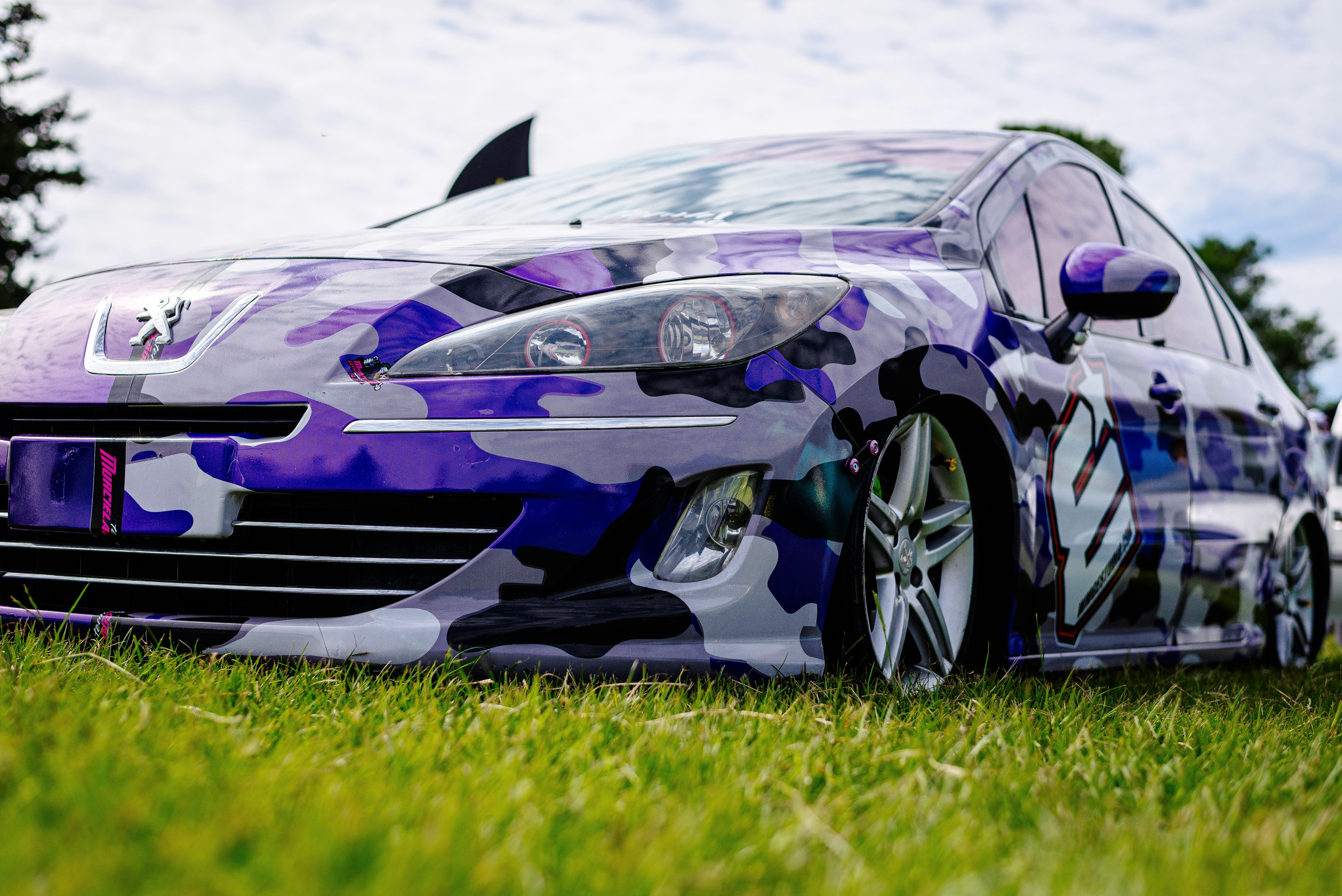 A purple camouflage car is shown in the grass.