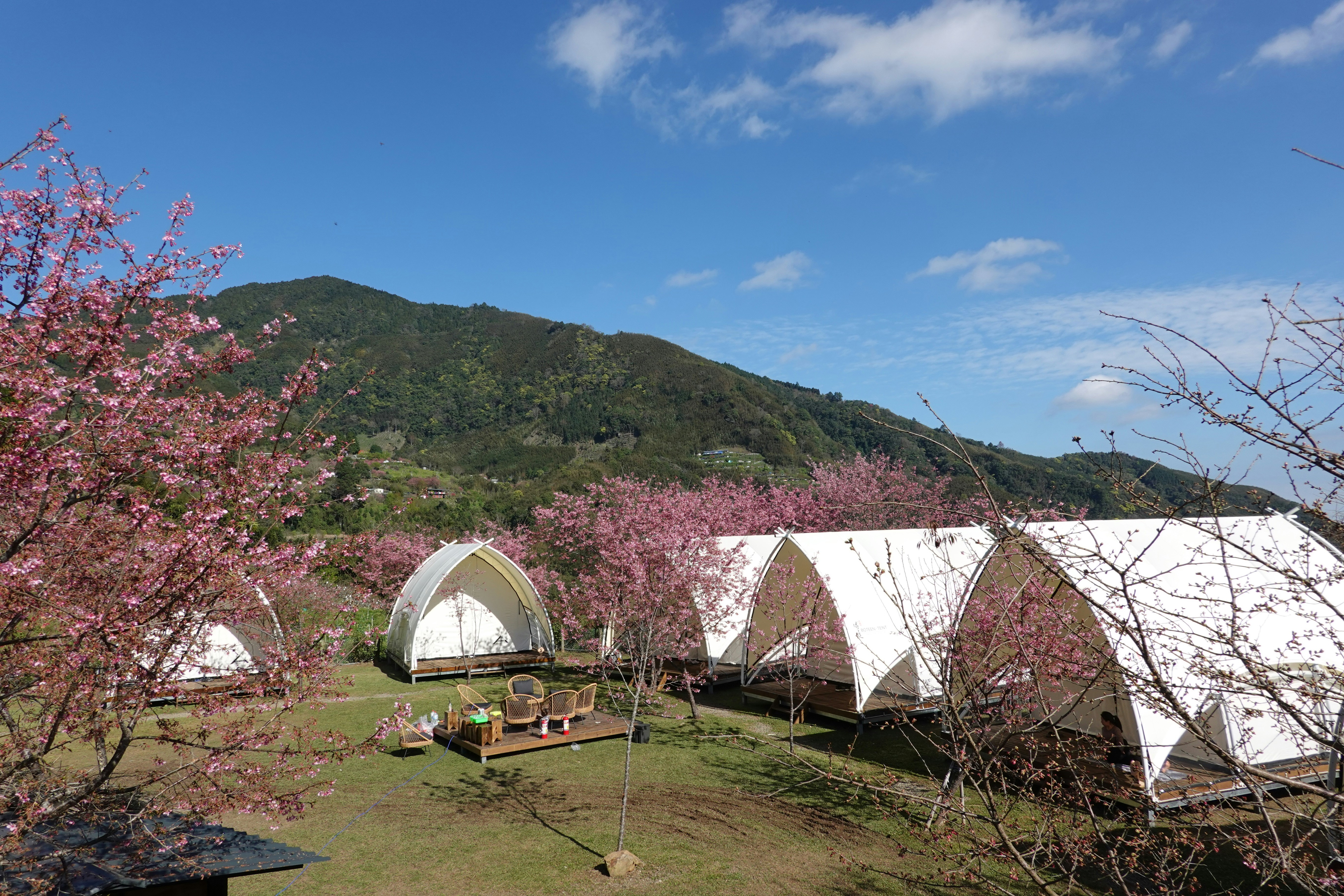 Hidden glamping in Nagano forest