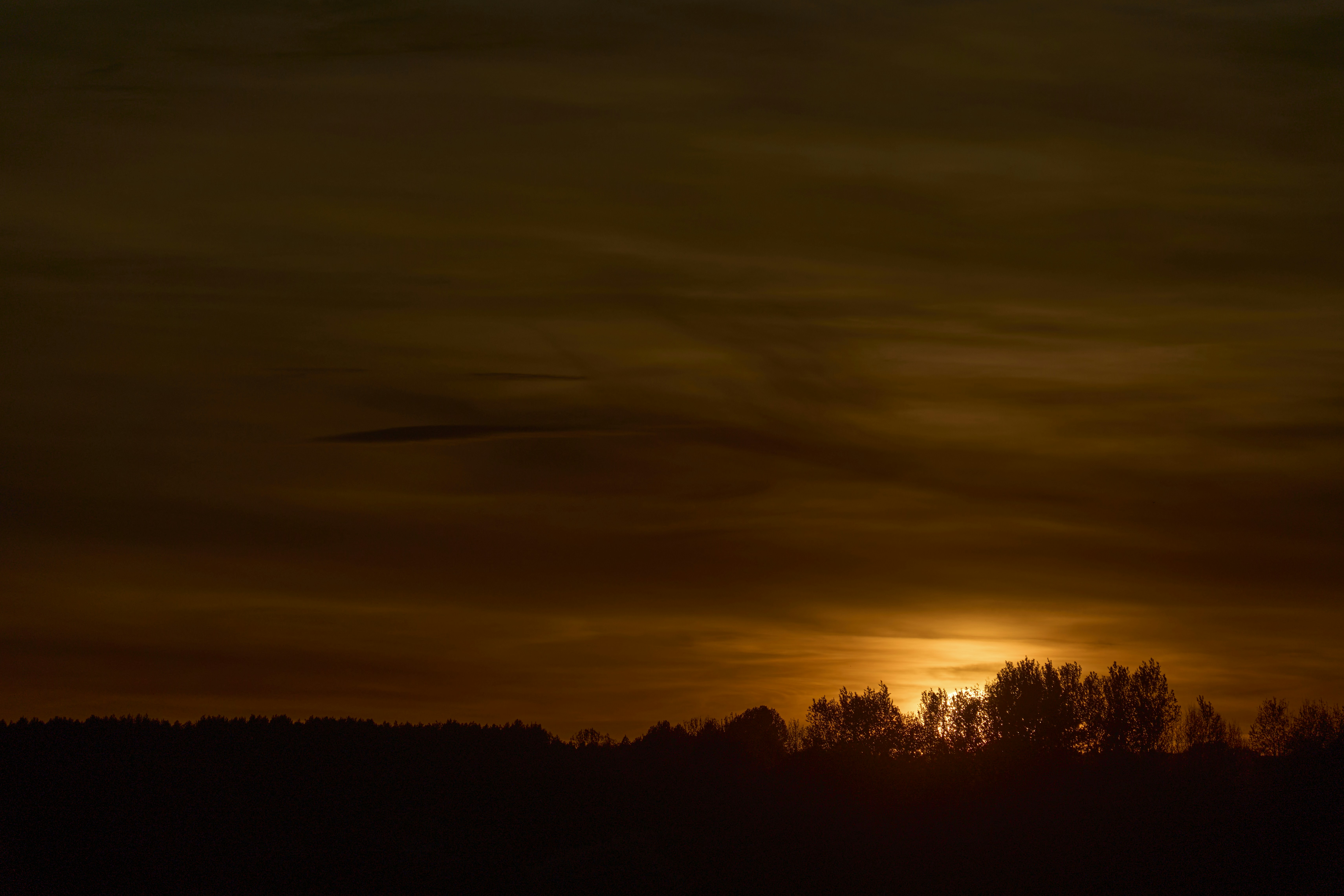 Photo by wolfgang_hasselmann