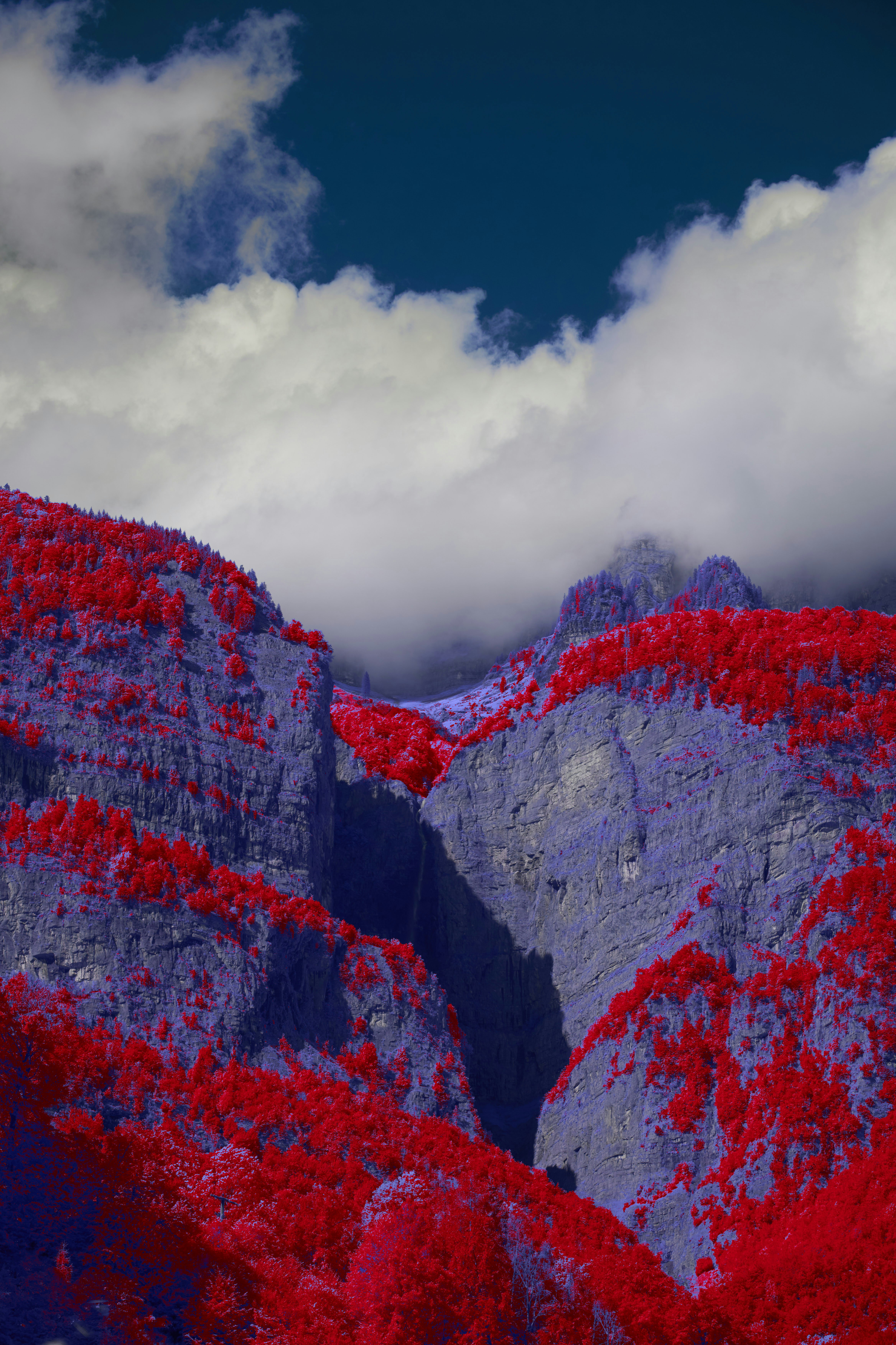 Red foliage covers purple mountains beneath clouds. photo – Free Autumn ...