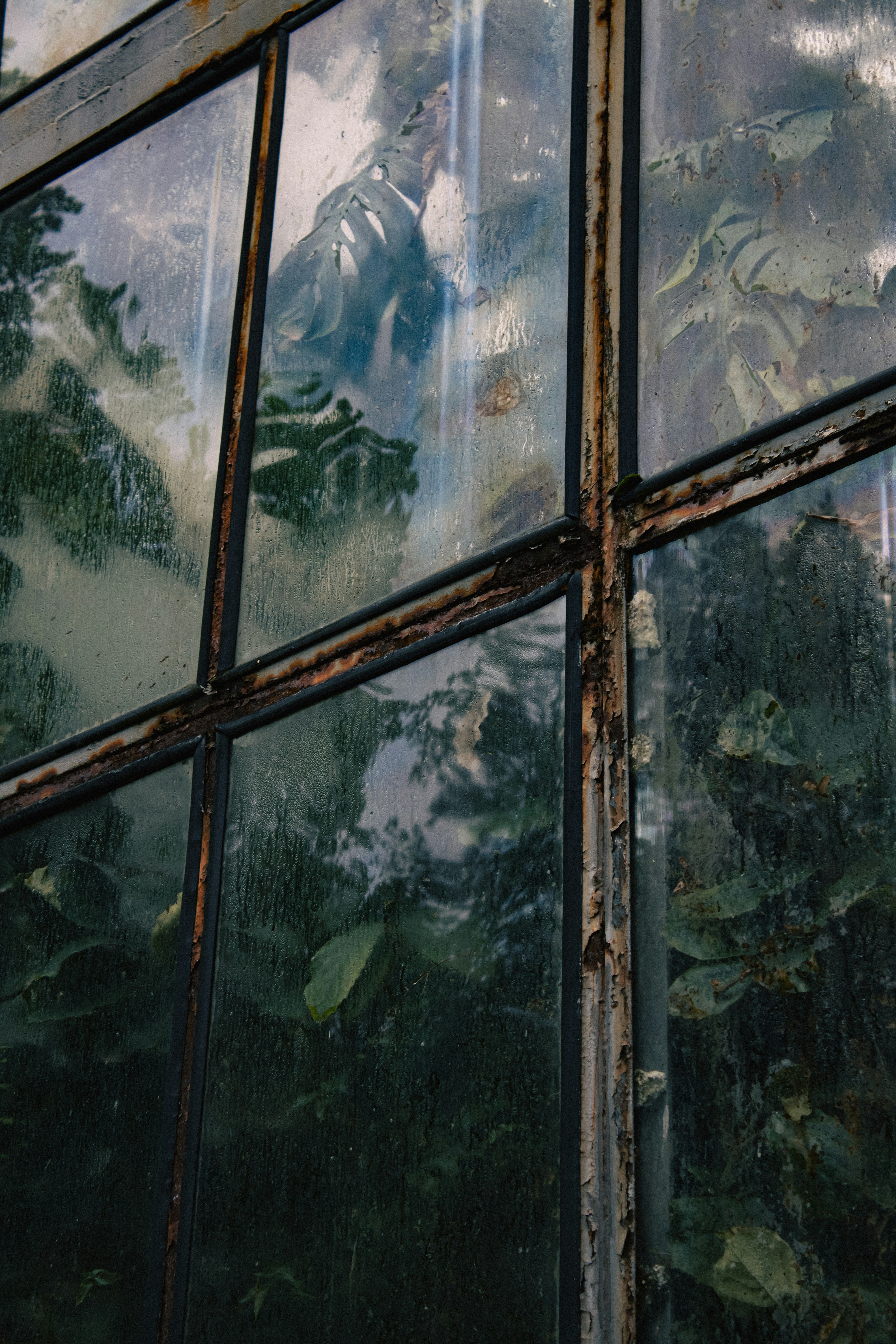 Photo by kolesnykyan