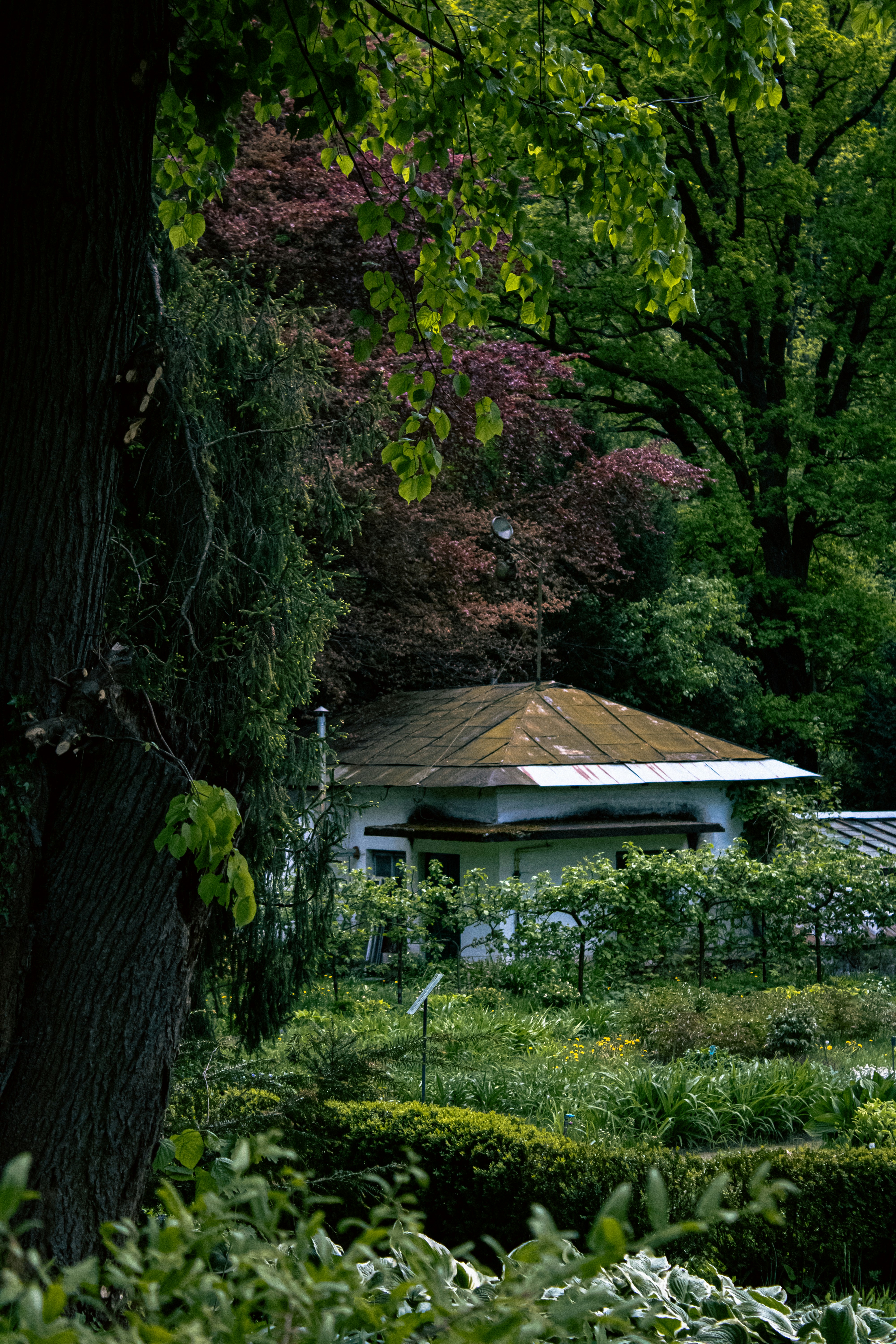 Photo by kolesnykyan