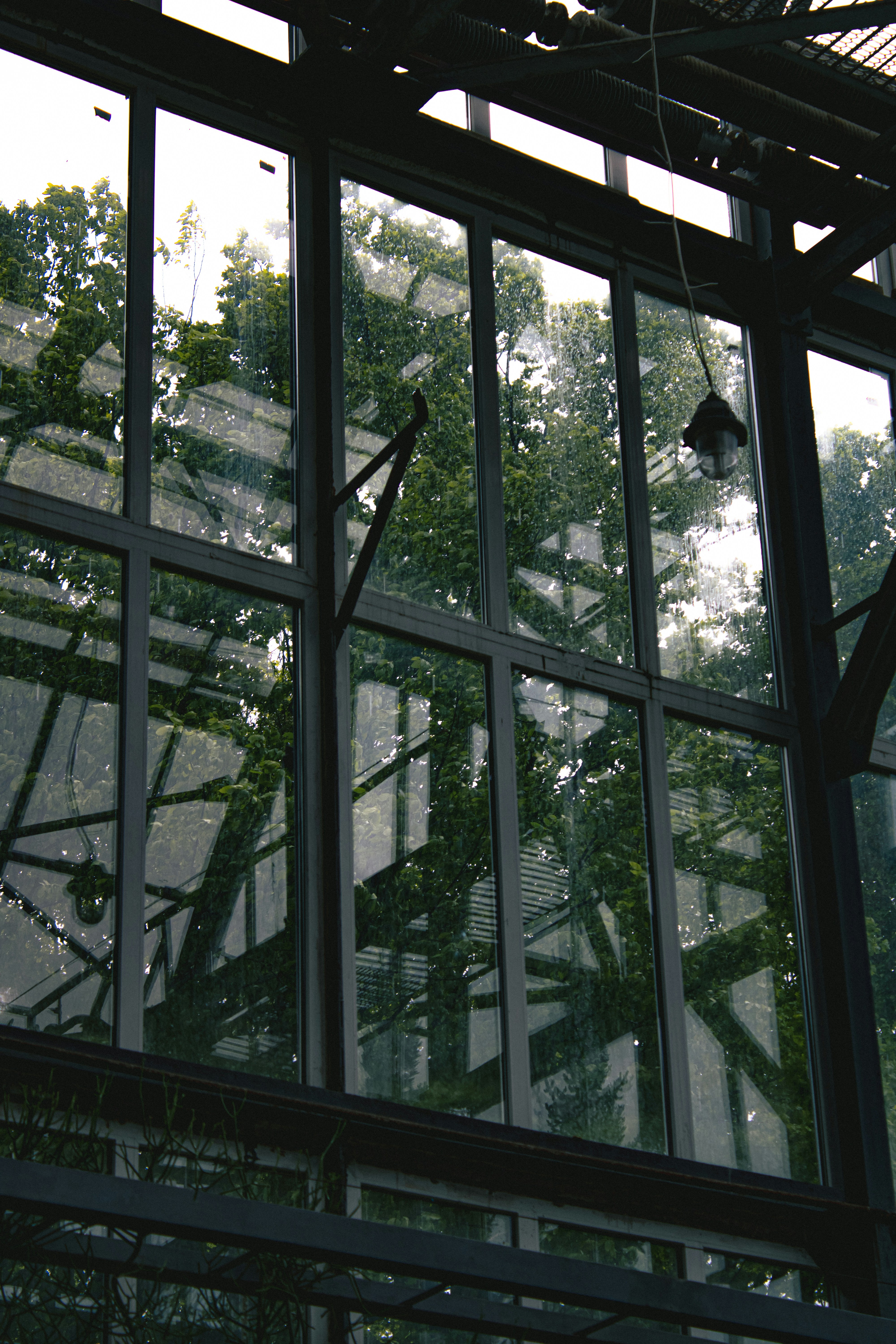 Photo by kolesnykyan