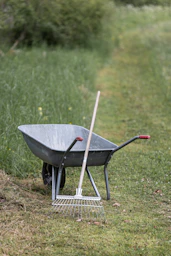 A wheelbarrow and rake are in a green garden.
