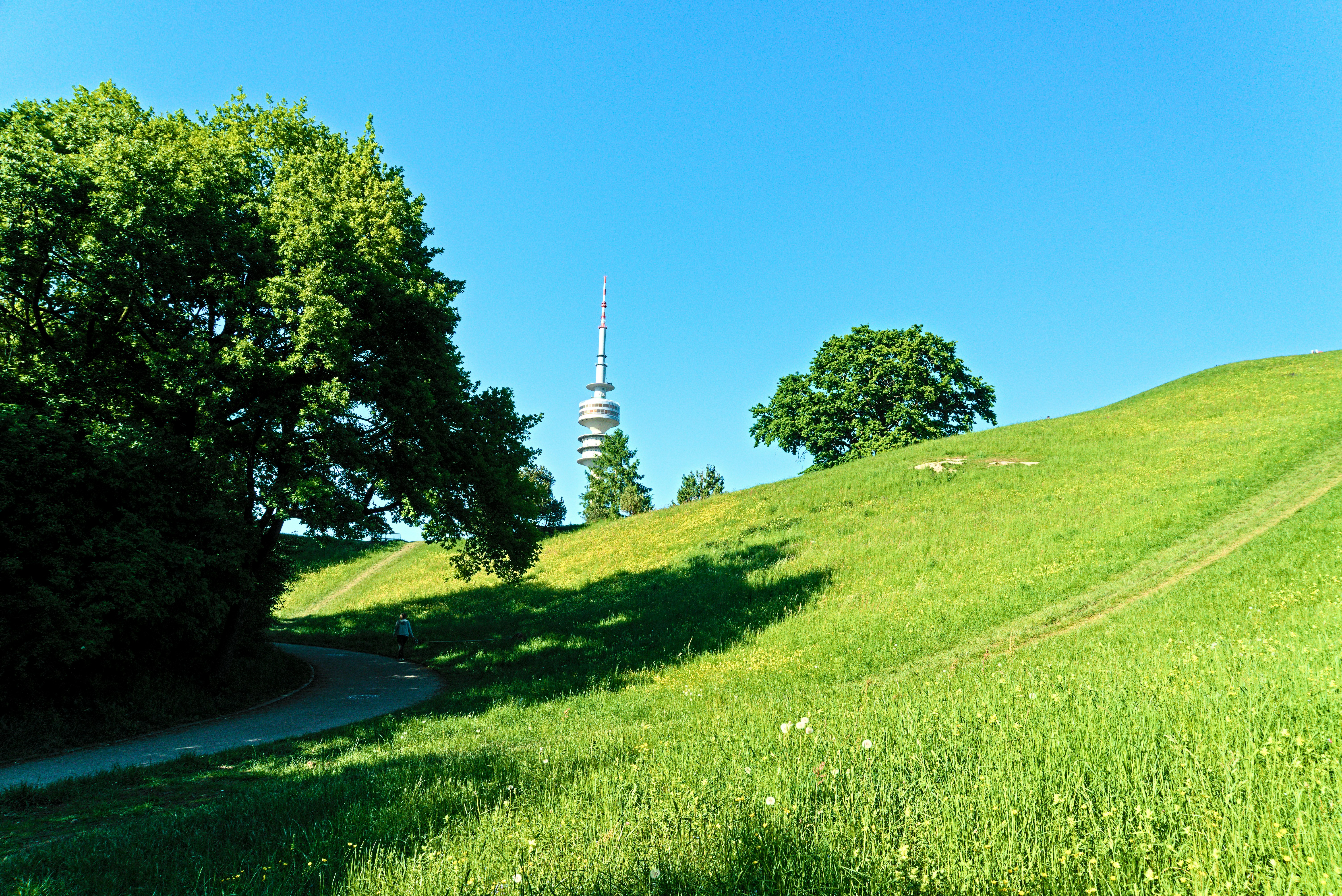 Image by Konstantinos Papadopoulos via Unsplash