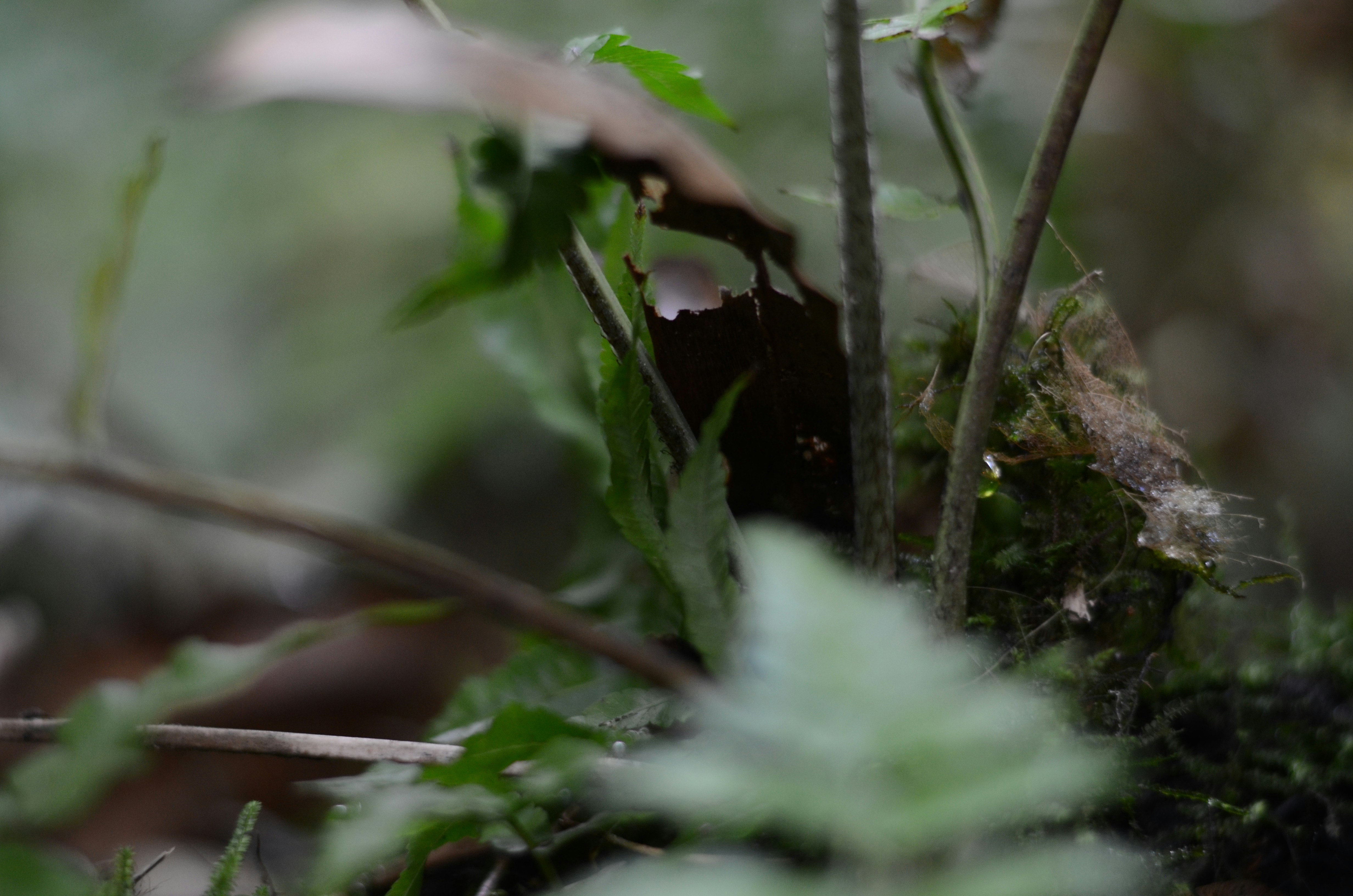 Photo by andreakest2018