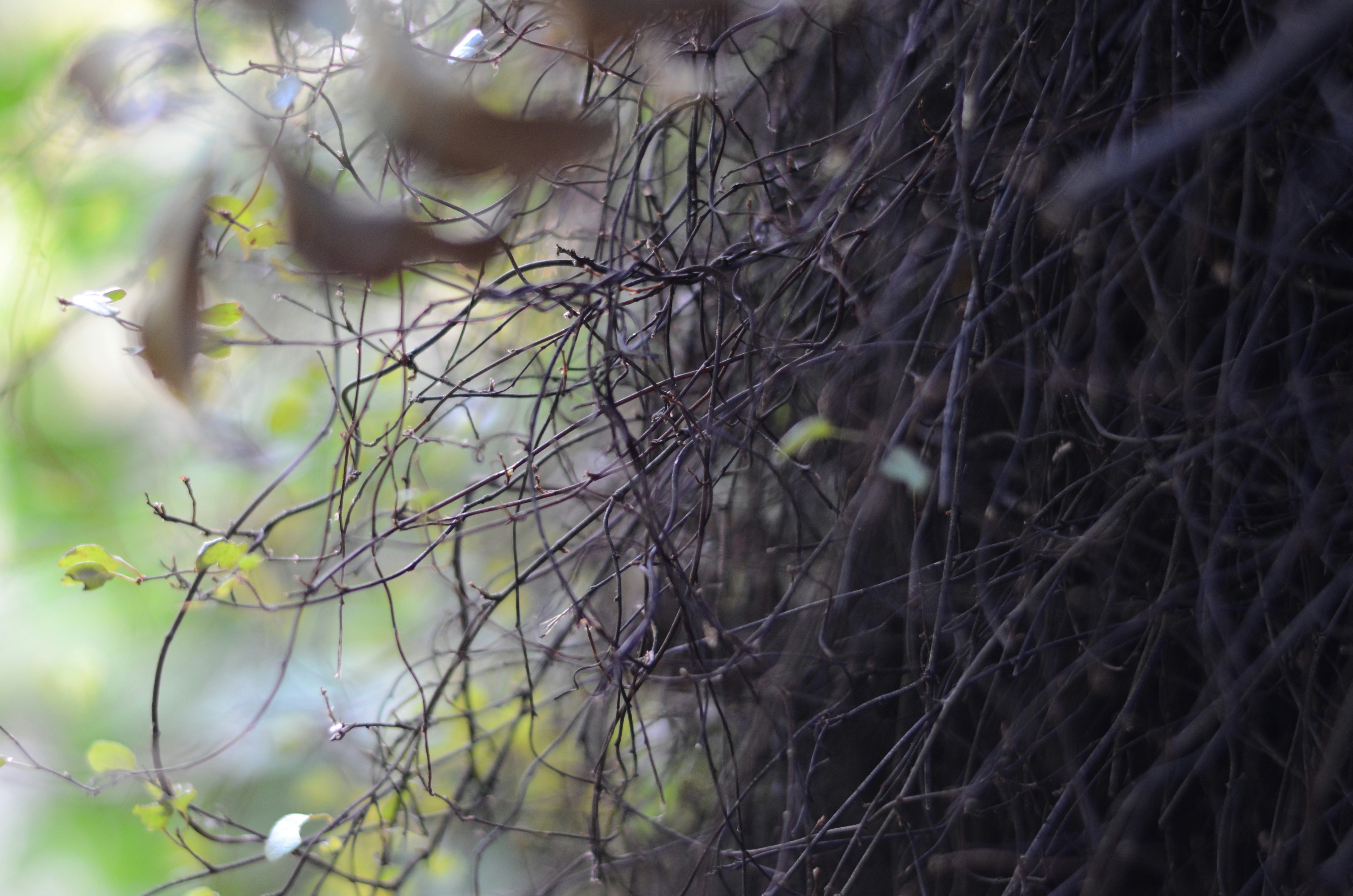 Photo by andreakest2018