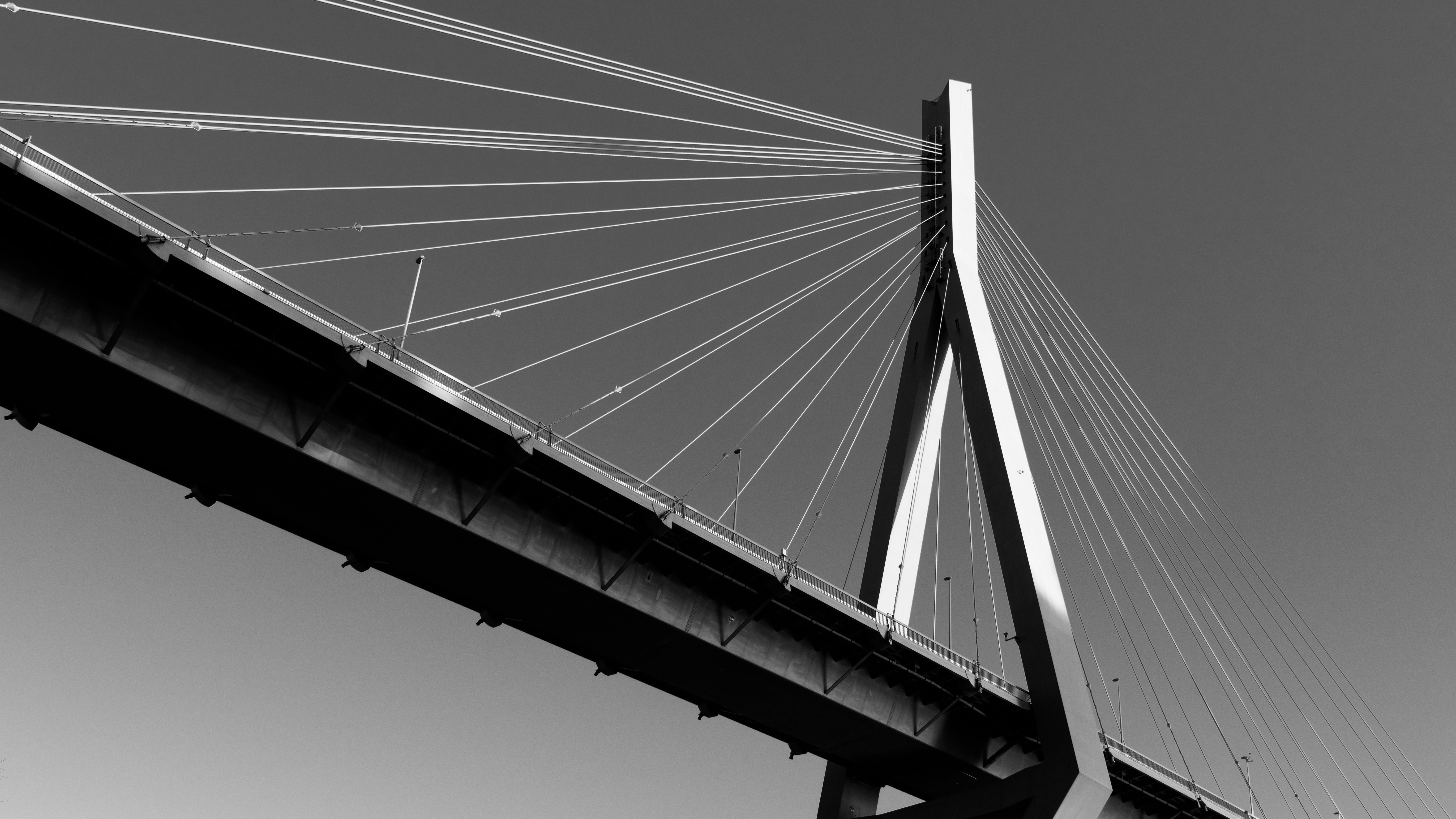 Photo by hamburgmeinefreundin