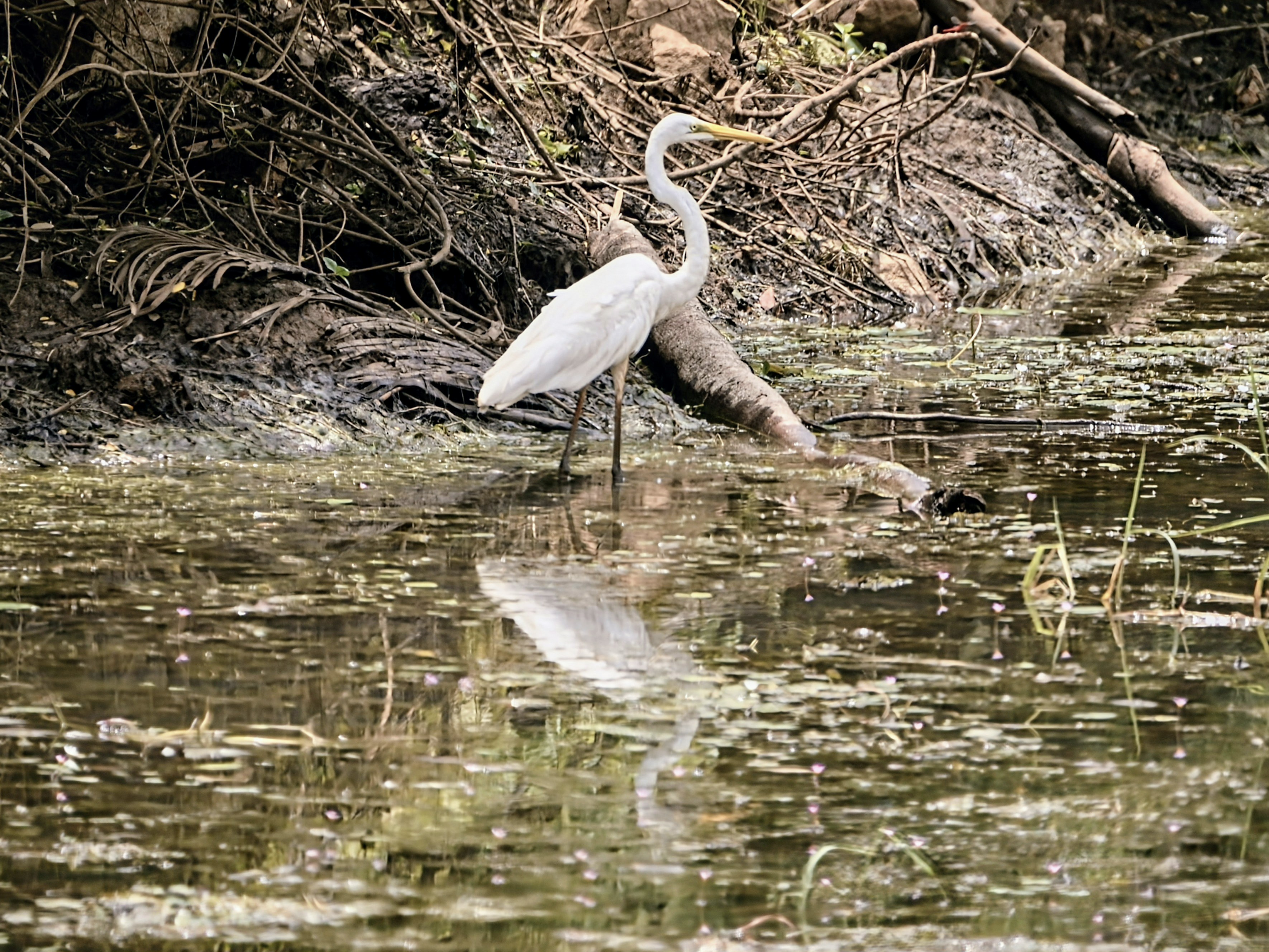 Photo by anoopvlenspoetry