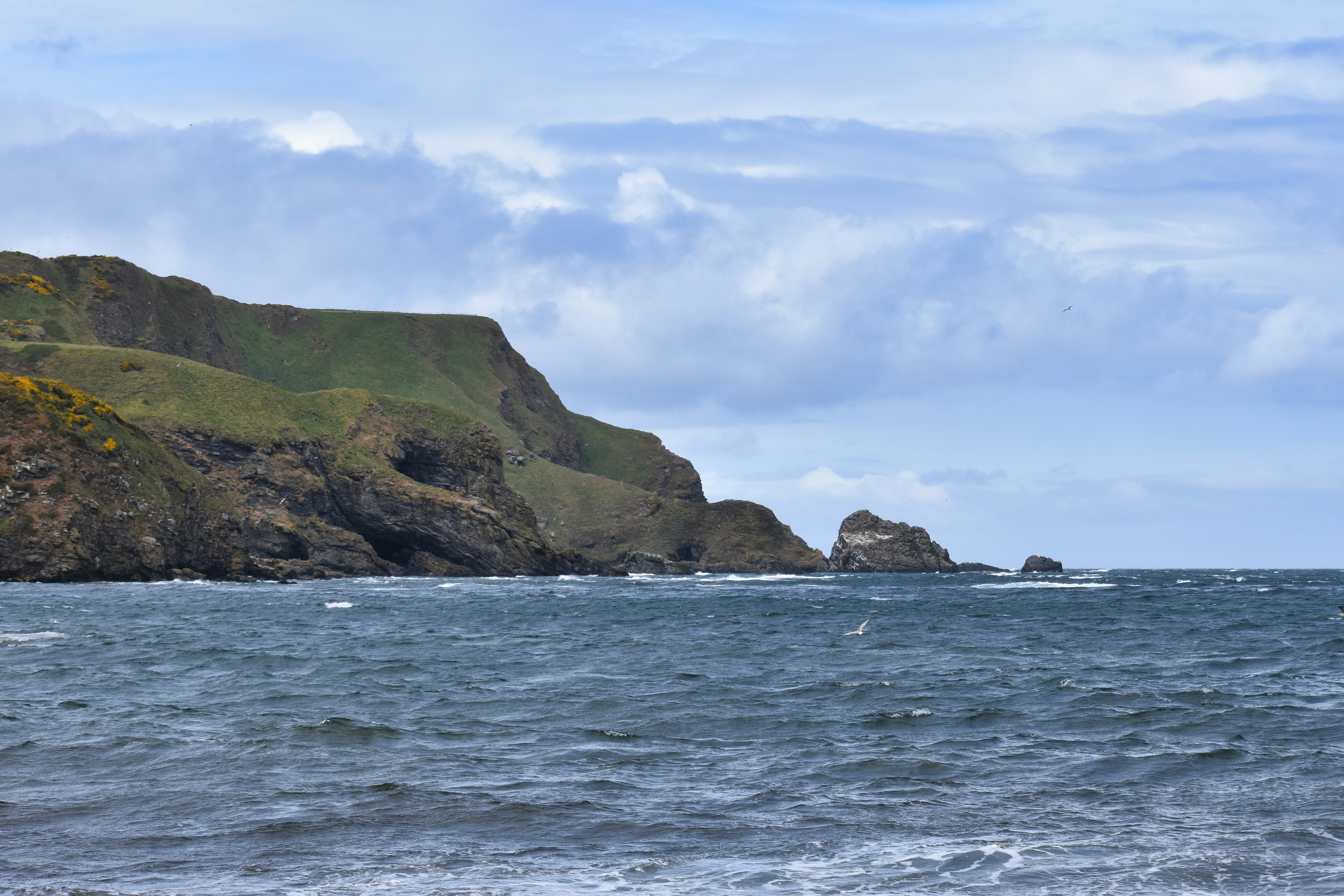 Photo by andrew_hall