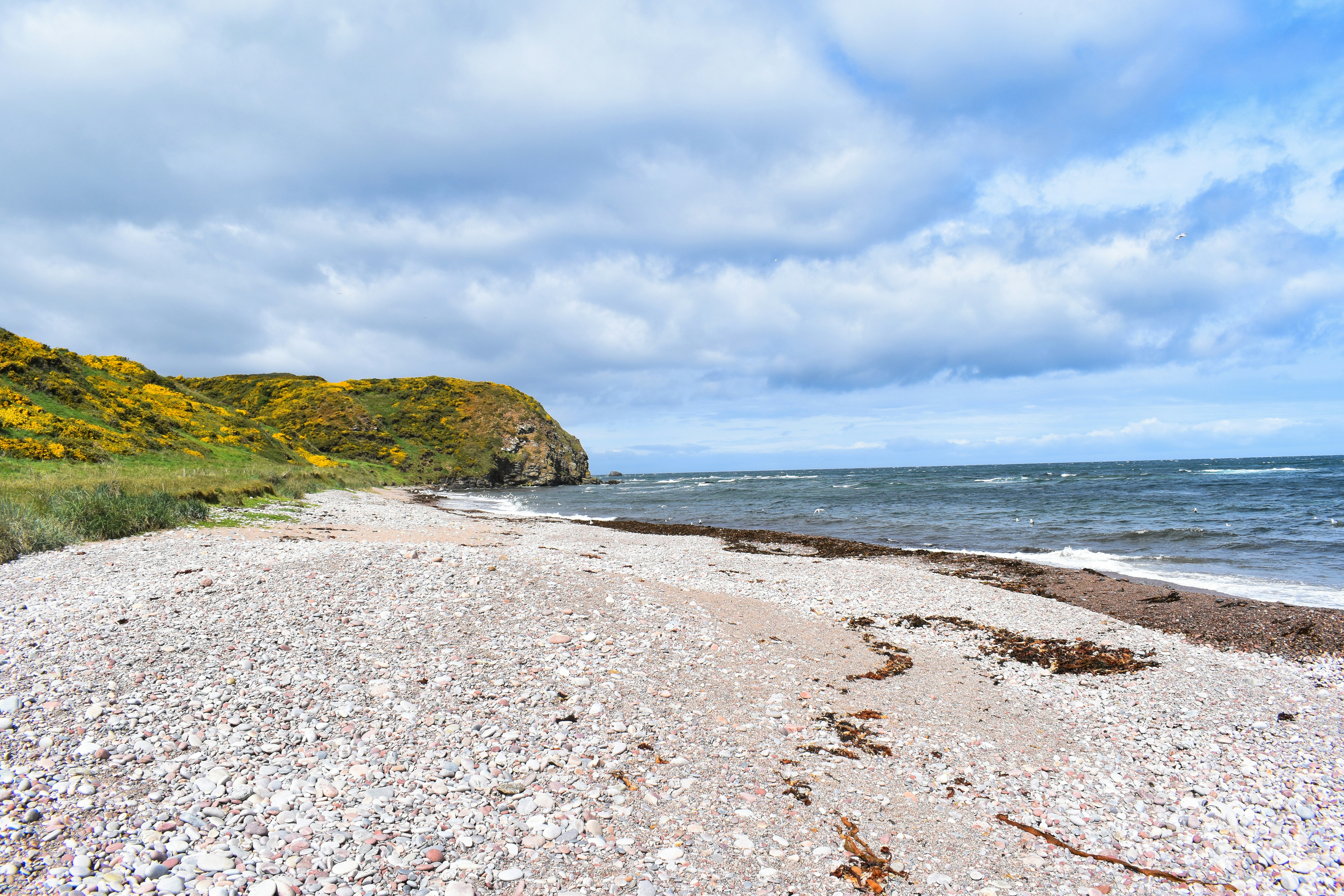 Photo by andrew_hall