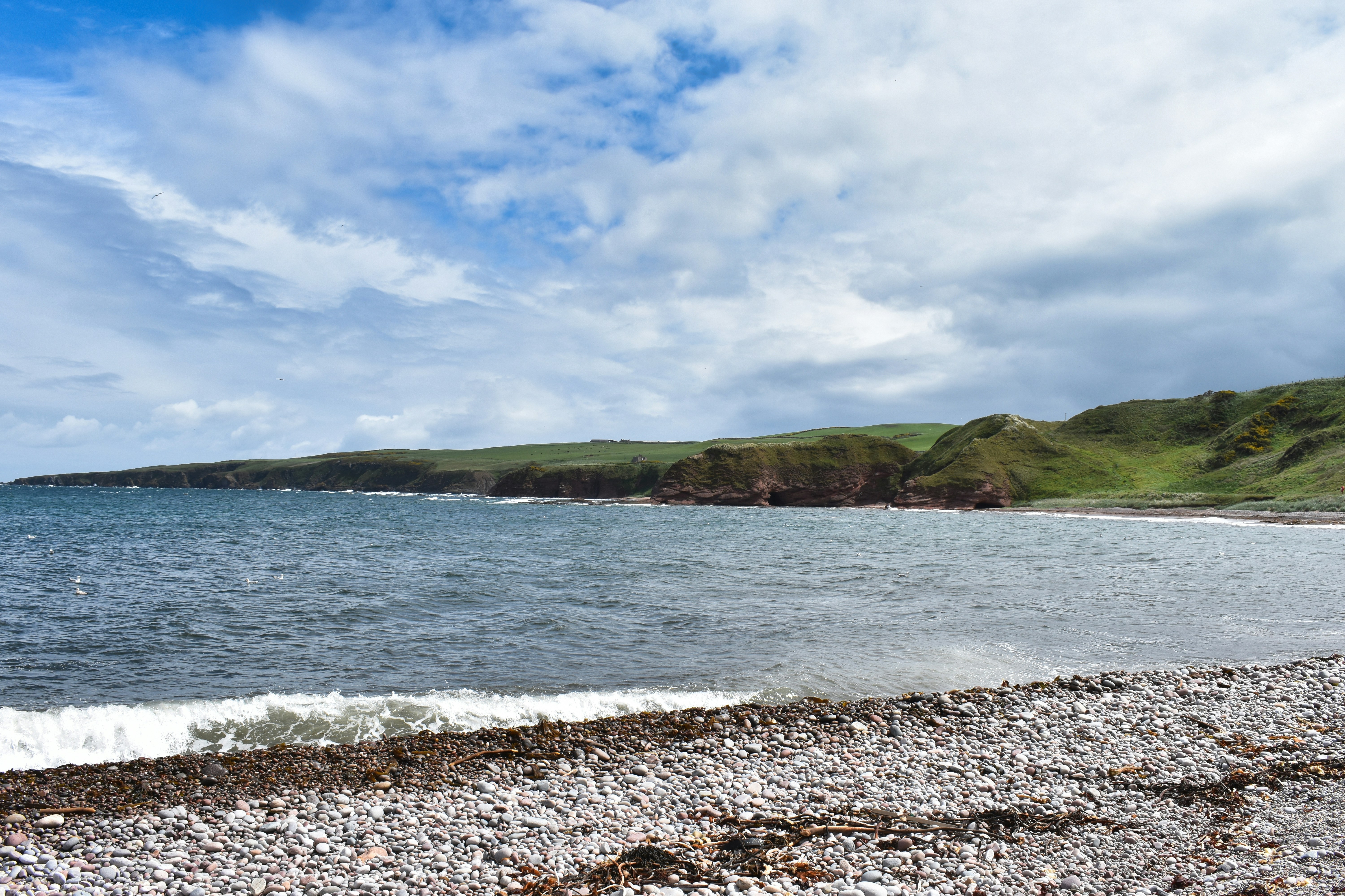 Photo by andrew_hall