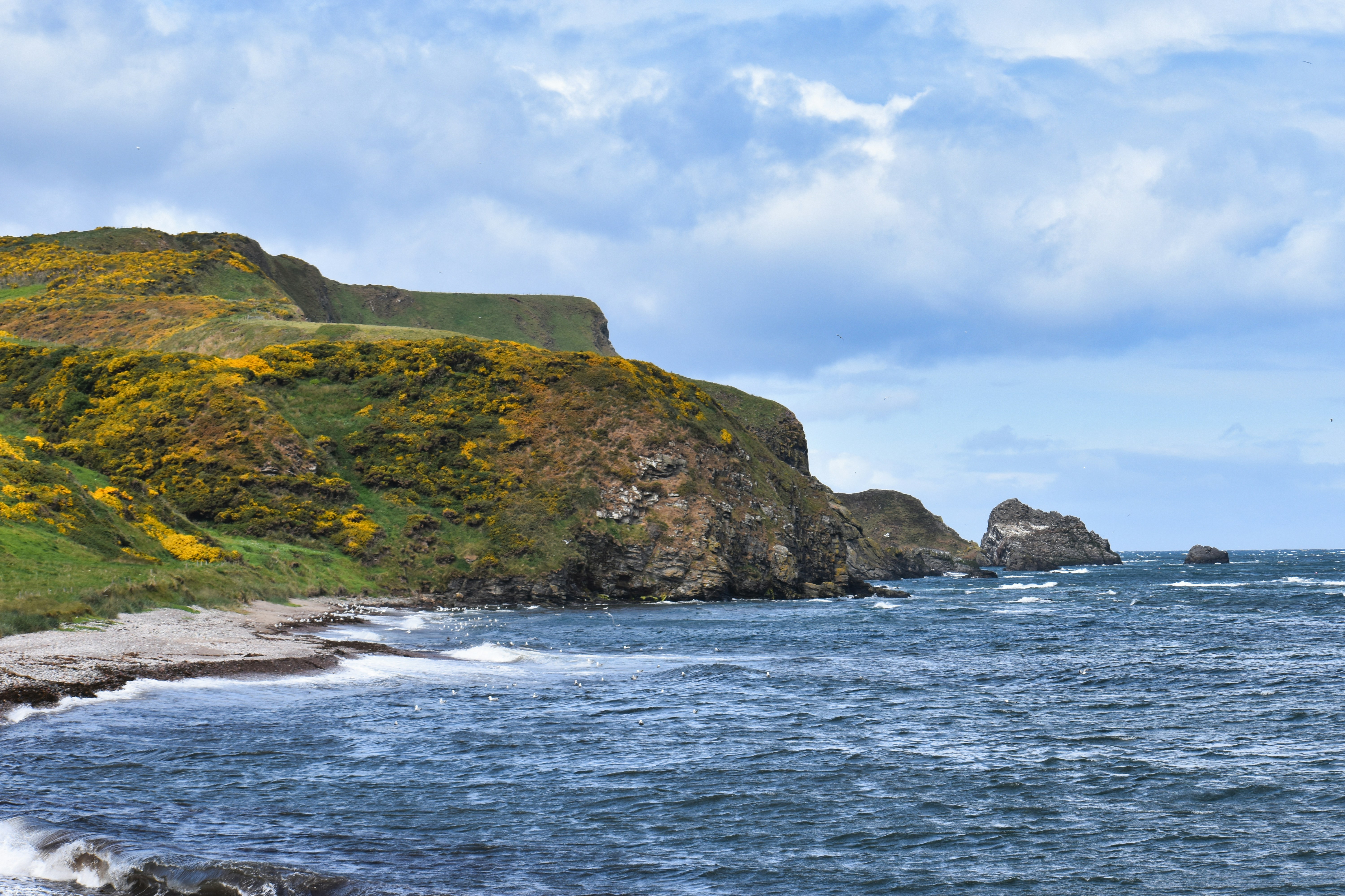 Photo by andrew_hall