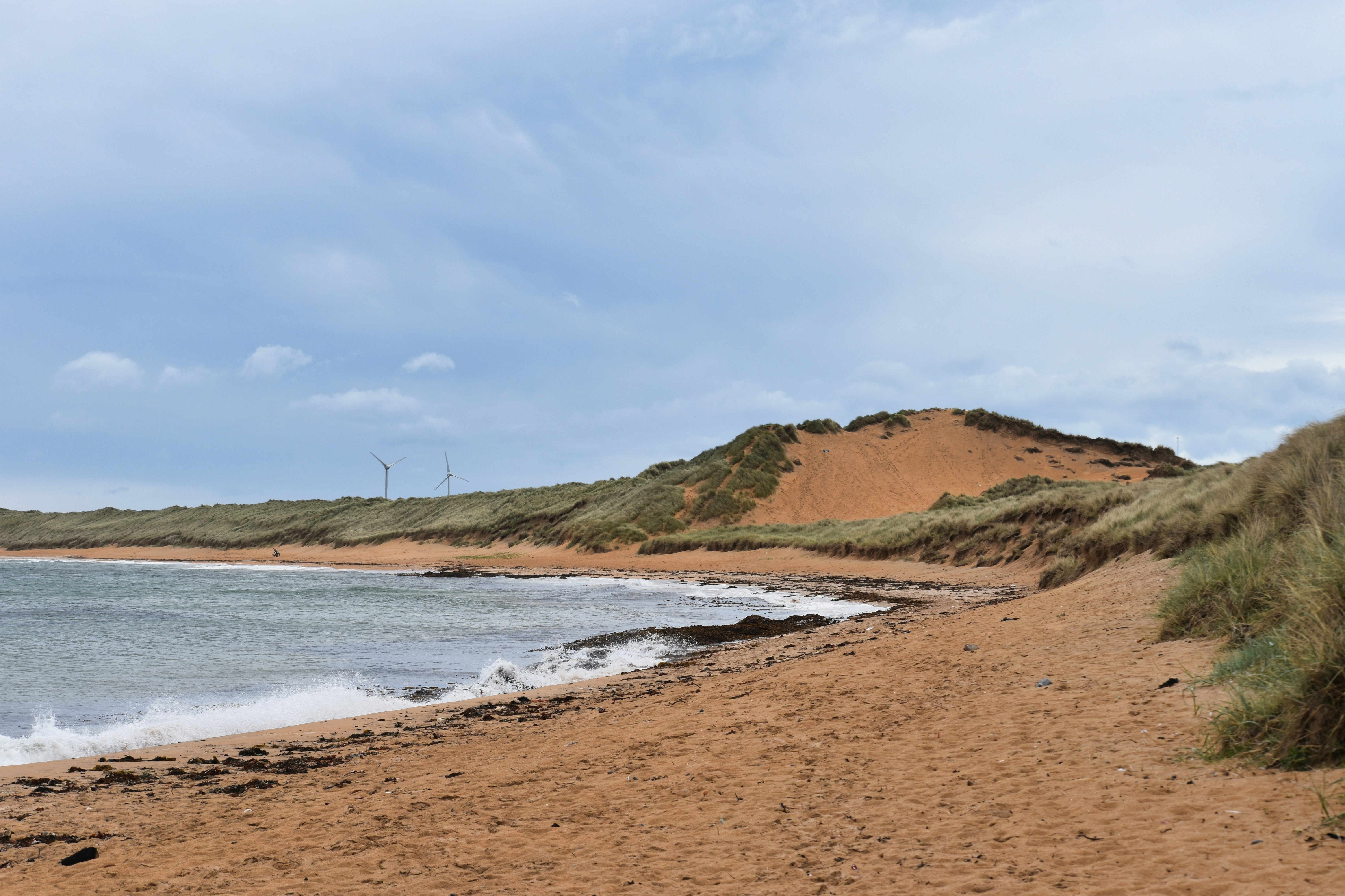 Photo by andrew_hall