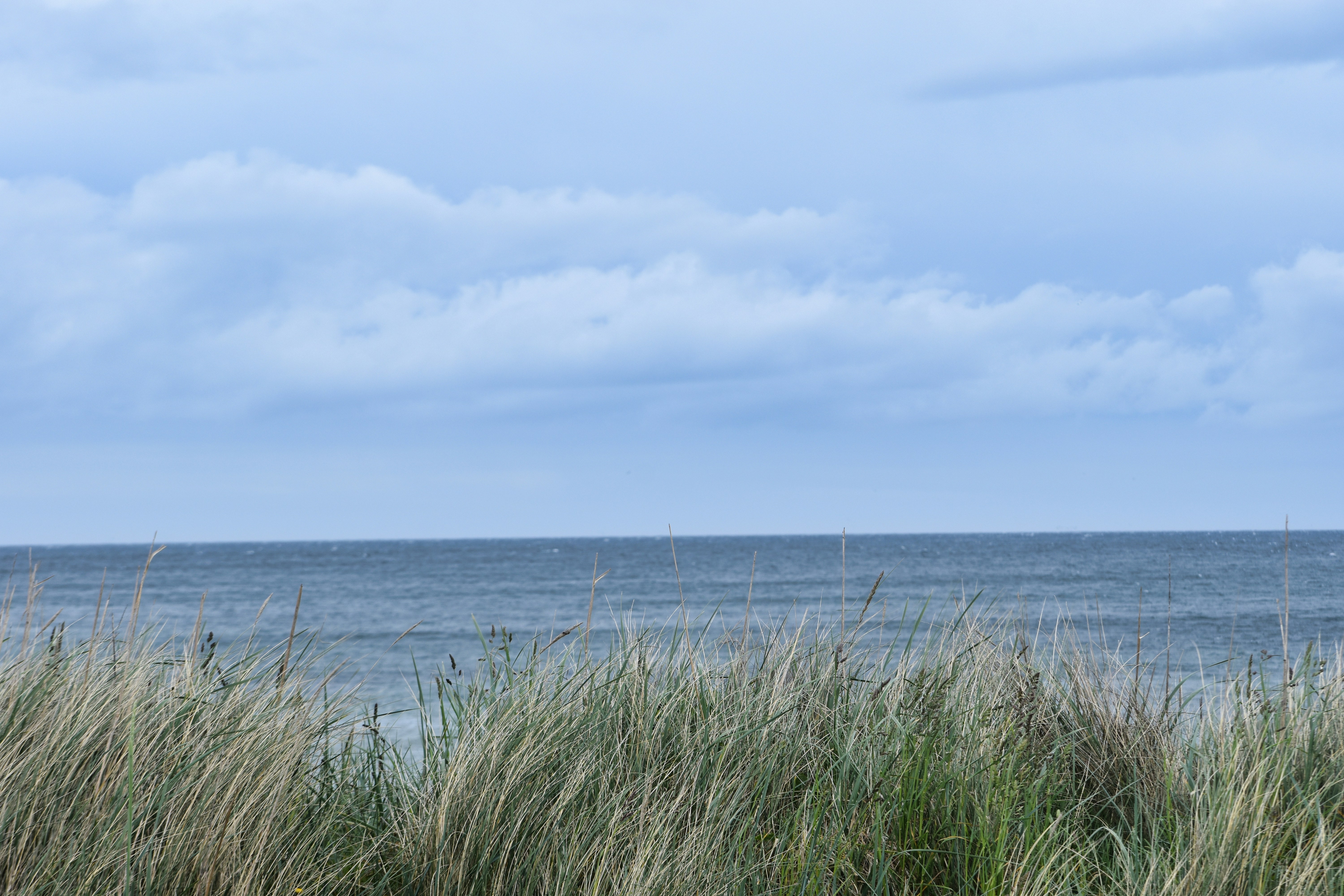 Photo by andrew_hall