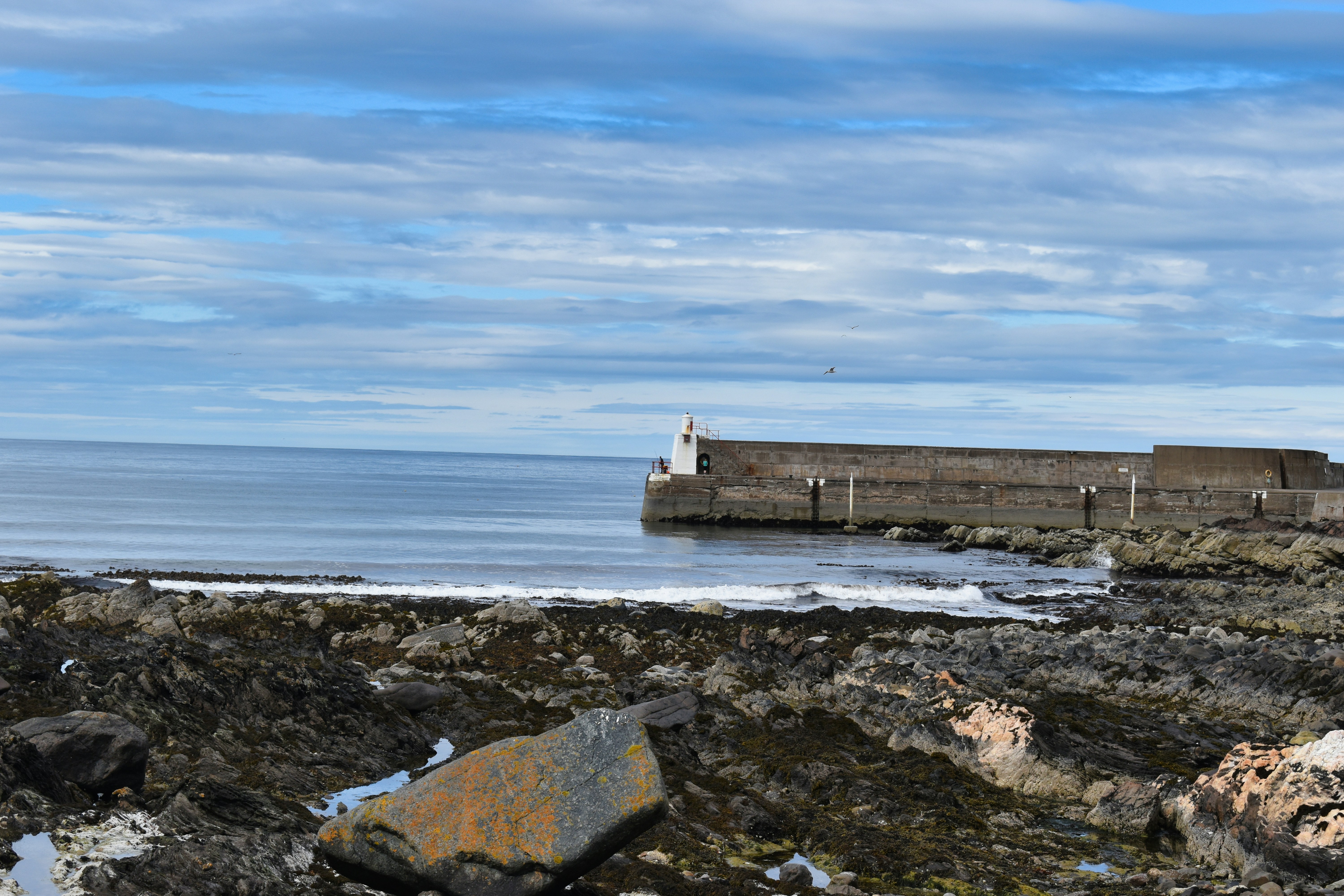 Photo by andrew_hall