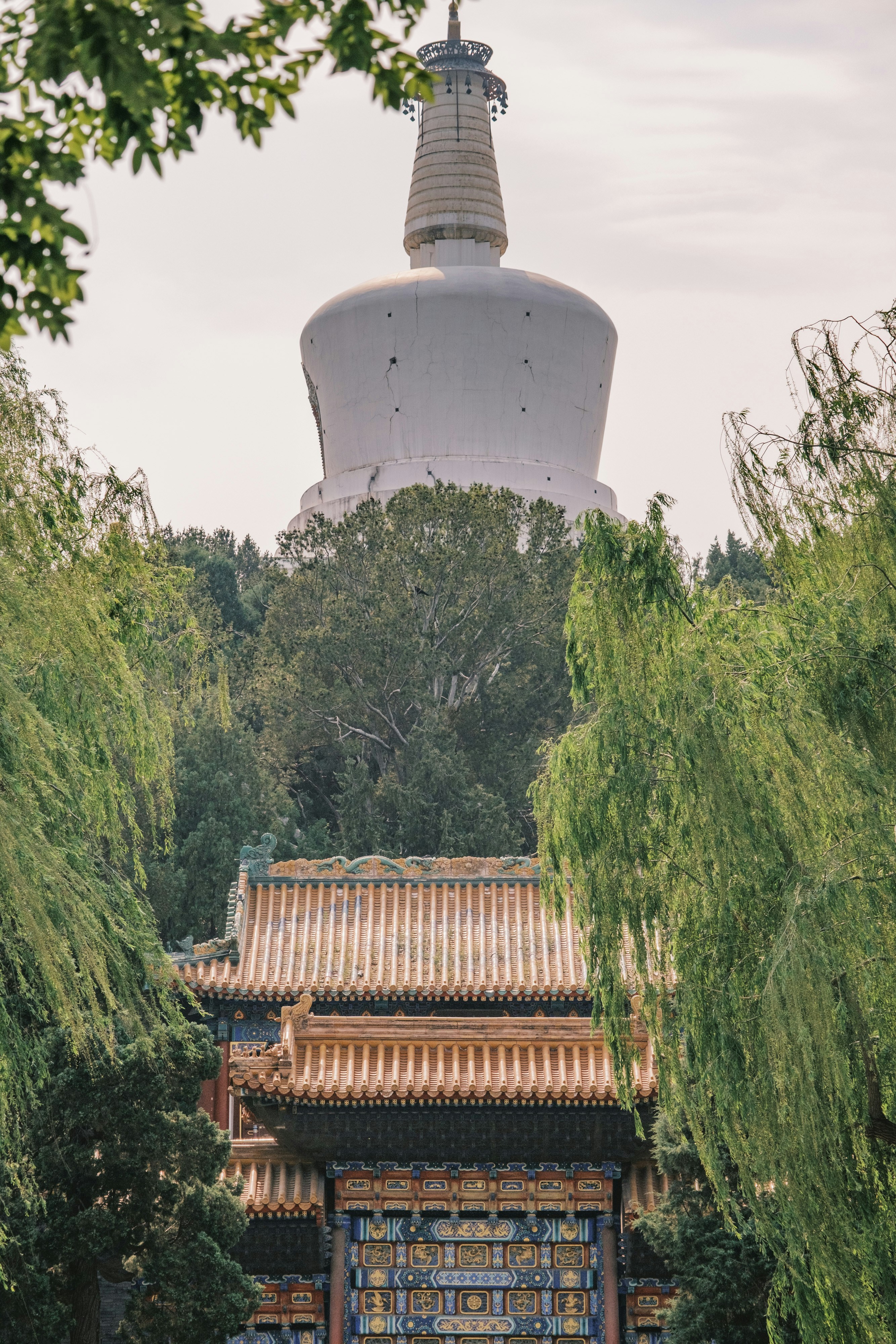 Photo by samuelwu