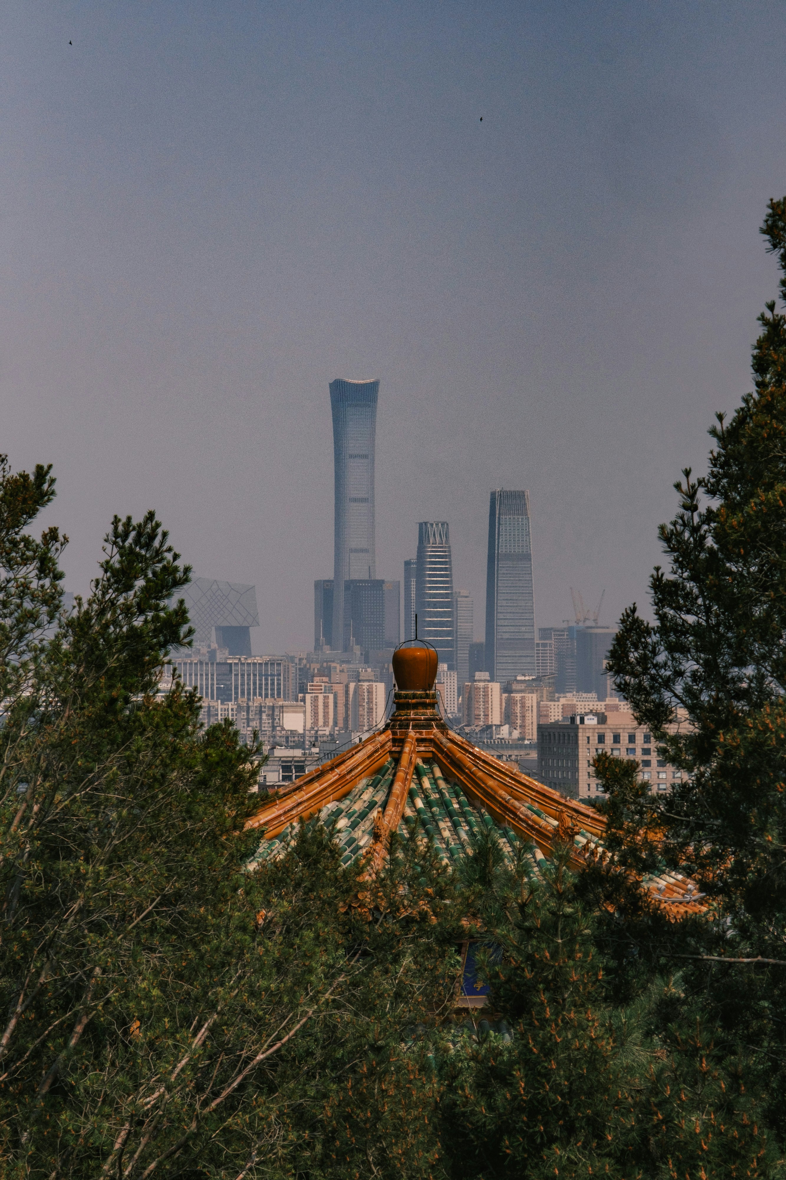 Photo by samuelwu